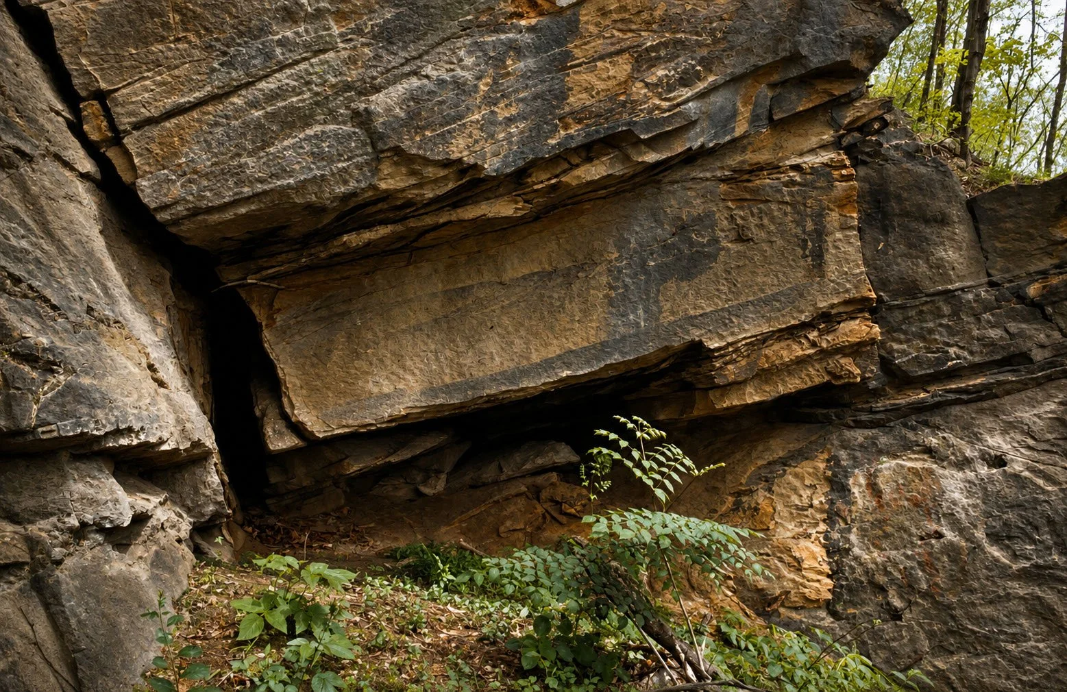 BELL028.jpg