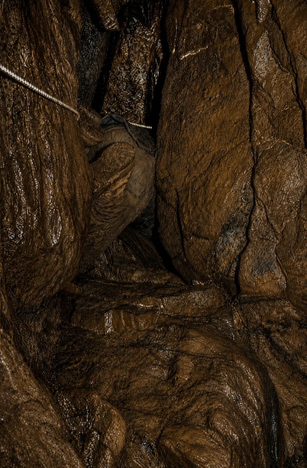 BELL048.jpg