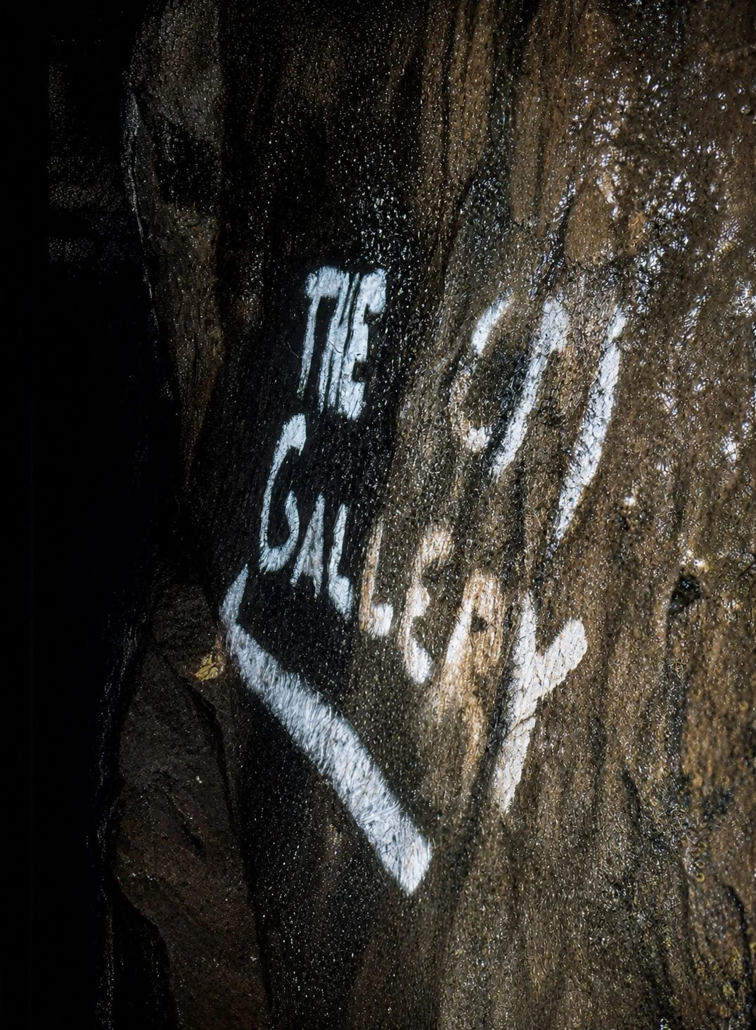BELL054.jpg