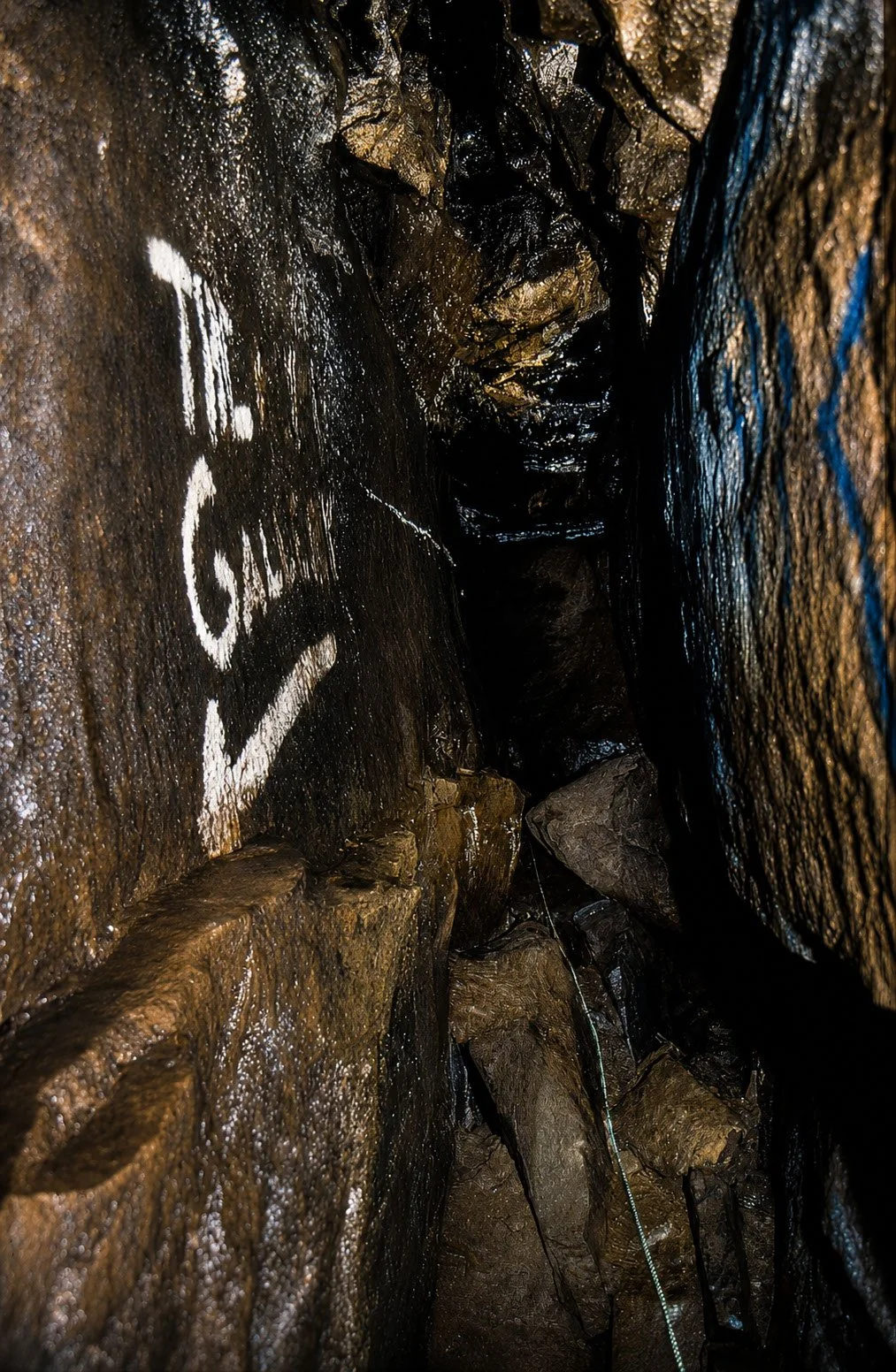 BELL056.jpg