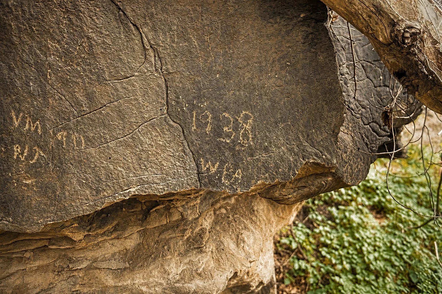 BELL030.jpg