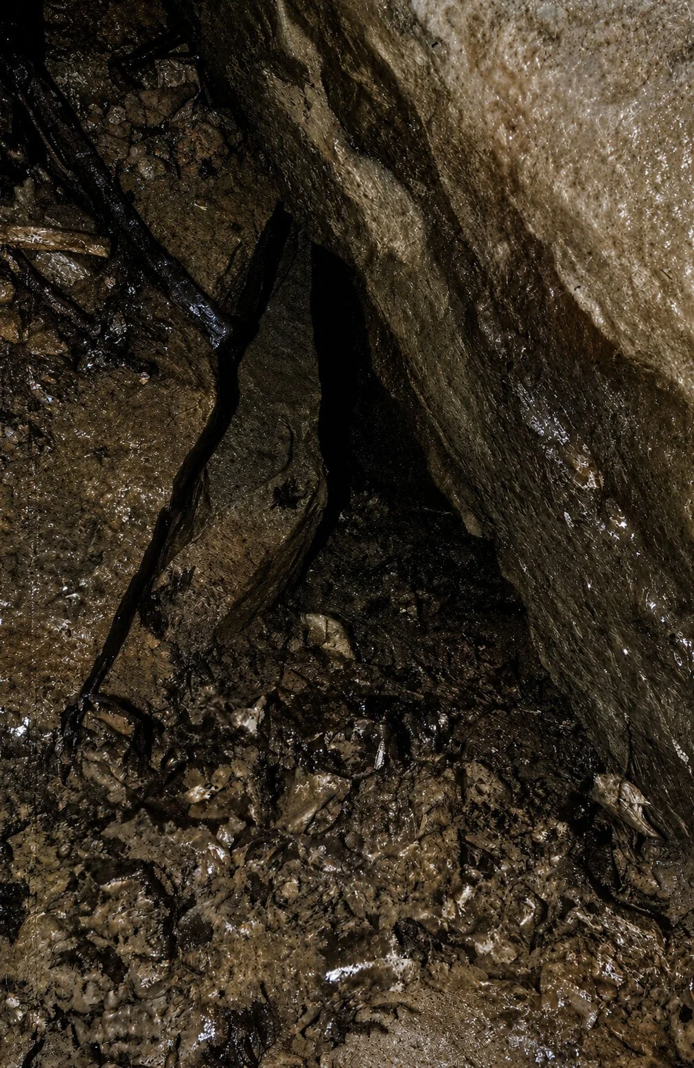 BELL042.jpg
