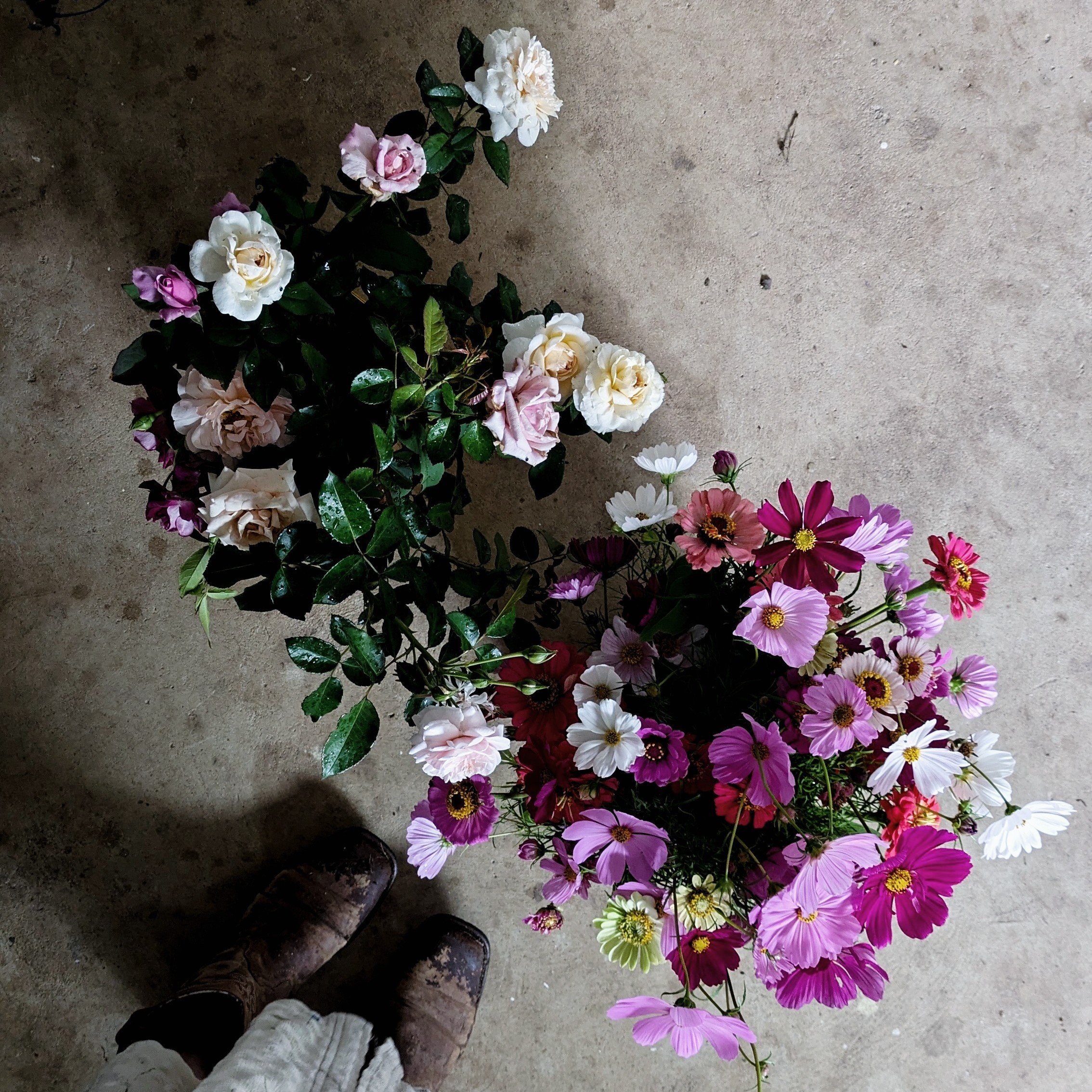 PXL_20241204_221201635.MP~2 (3) - Copy.jpg