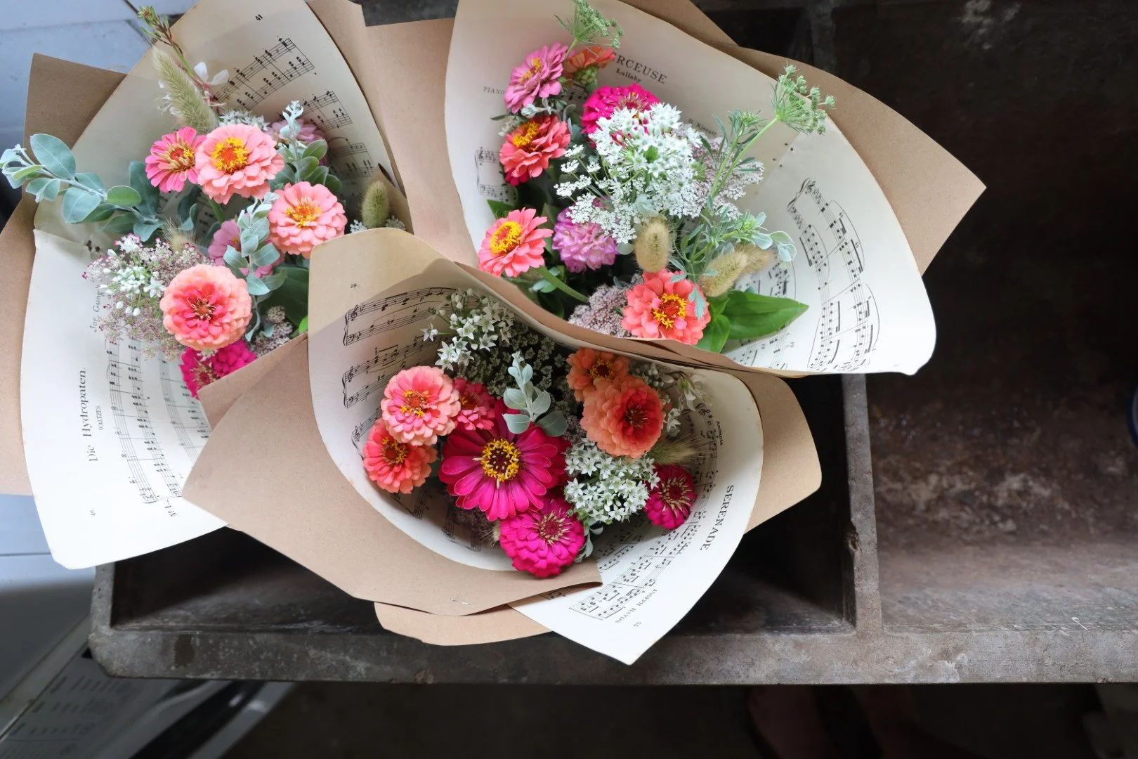 0D8A0781.JPG