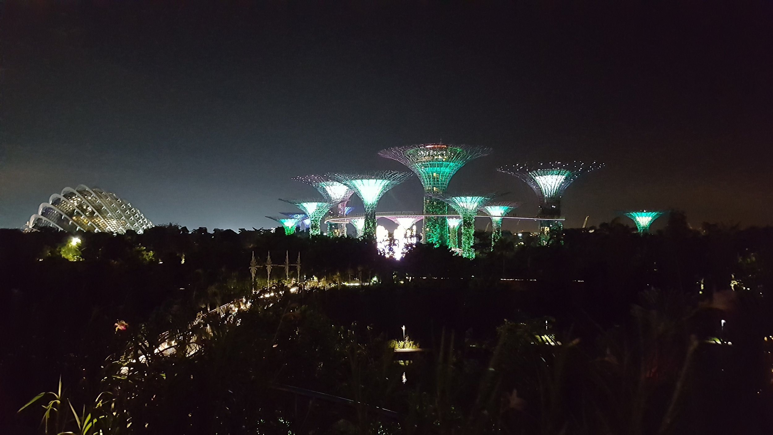 20161117_201429.jpg