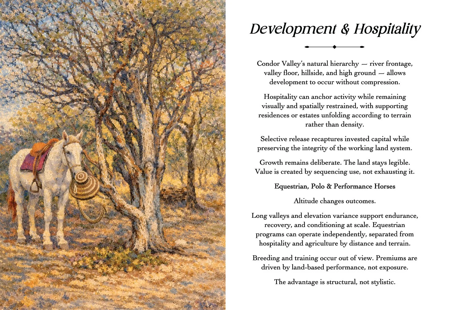 CV-Booklet-Final-Expanded-12.jpg