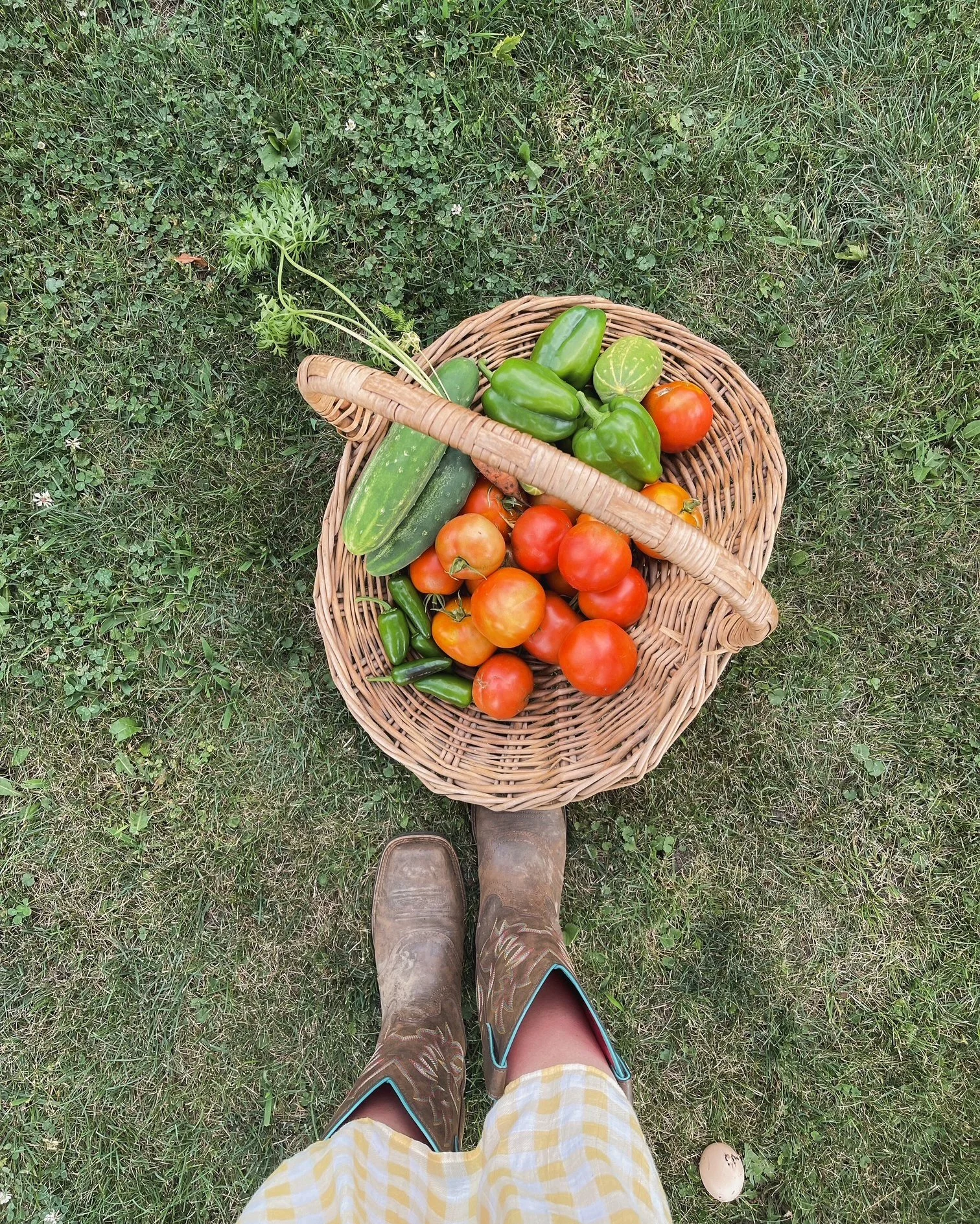 A person's feet in boots on grass, with a woven basket filled with tomatoes, cucumbers, and peppers. The person is wearing plaid shorts.