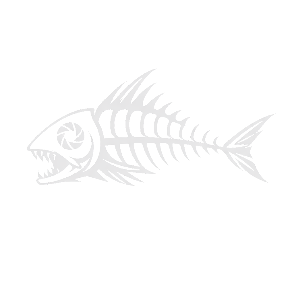 Sharkbait Media