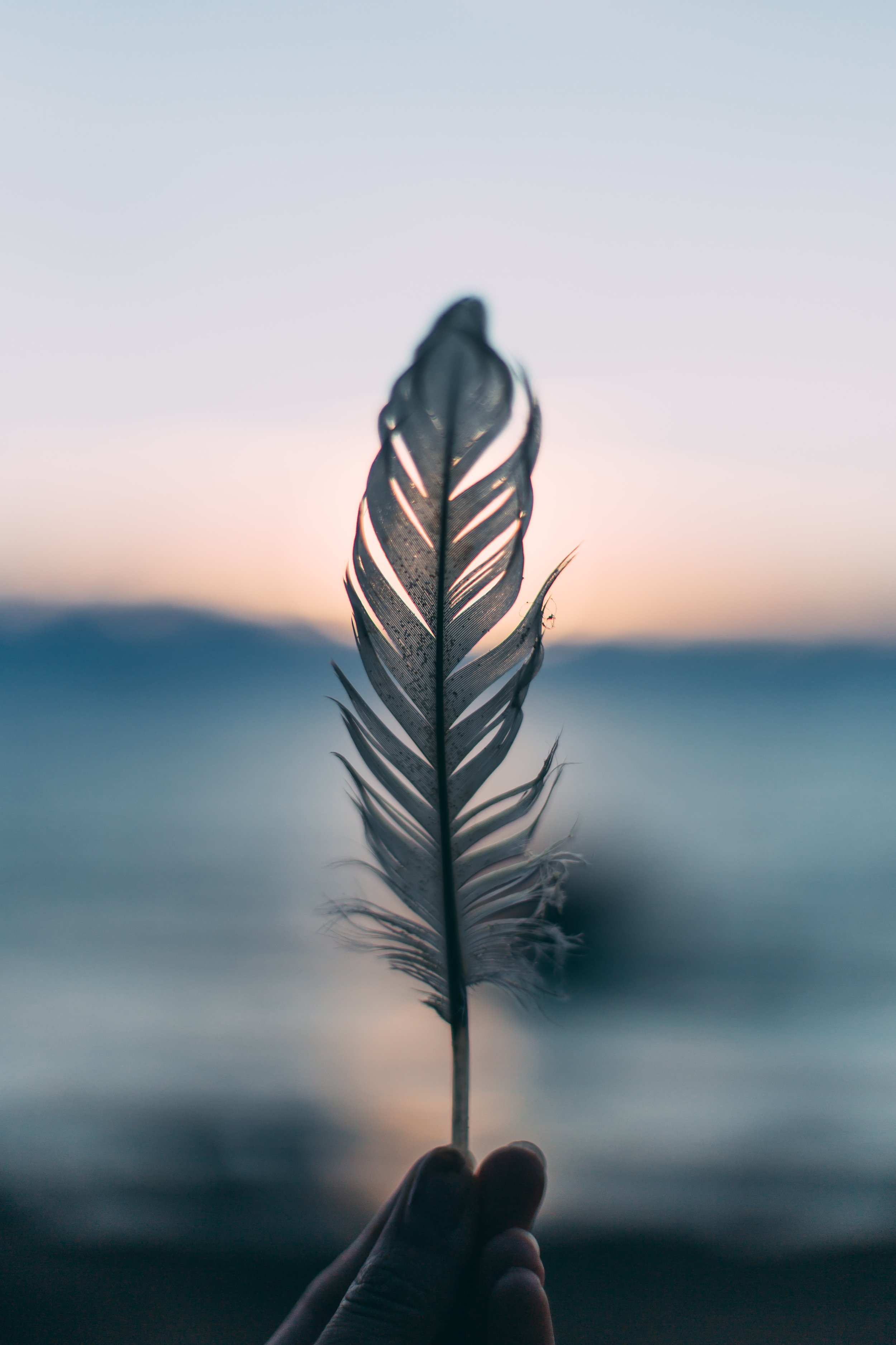 A close-up of a hand holding a delicate feather with a sunset sky in the background, showcasing soft pastel hues.
