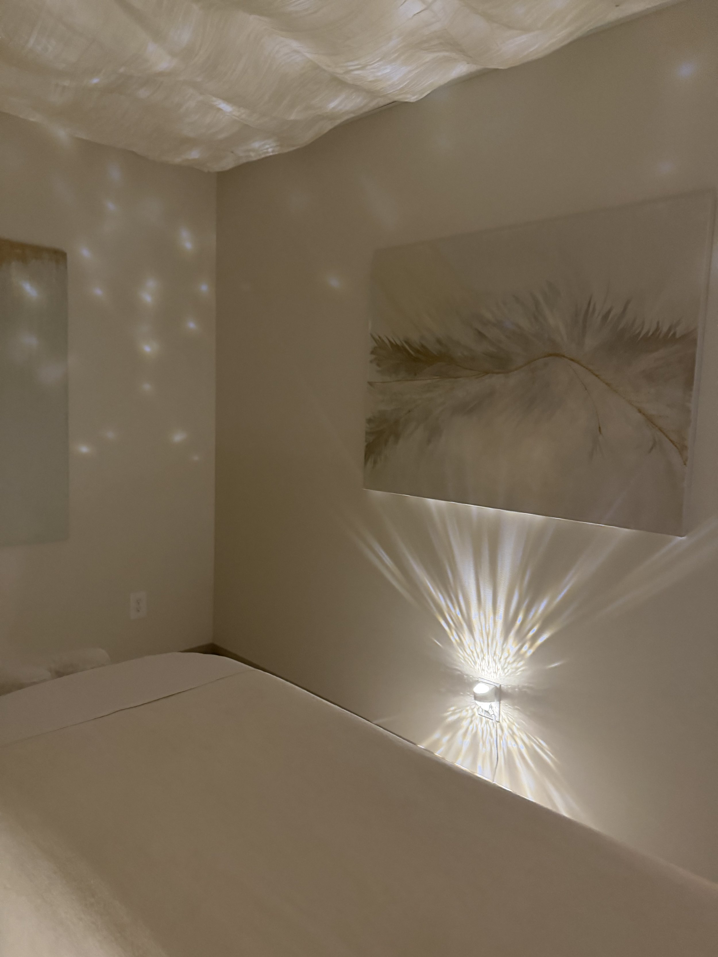 A wall with a decorative painting of a large feather, illuminated by a light fixture that casts a starburst pattern of light and shadows.