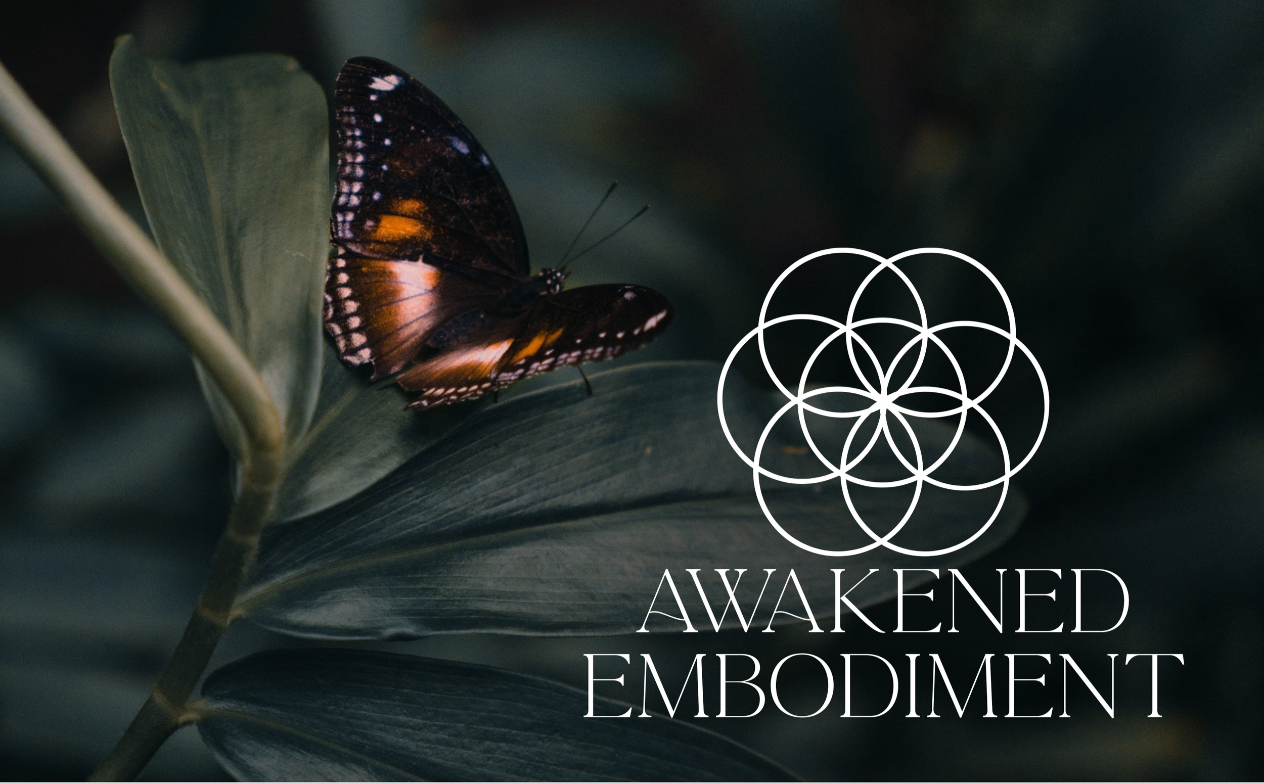 A butterfly on a leaf with text reading "Awakened Embodiment" and a geometric flower-like pattern.