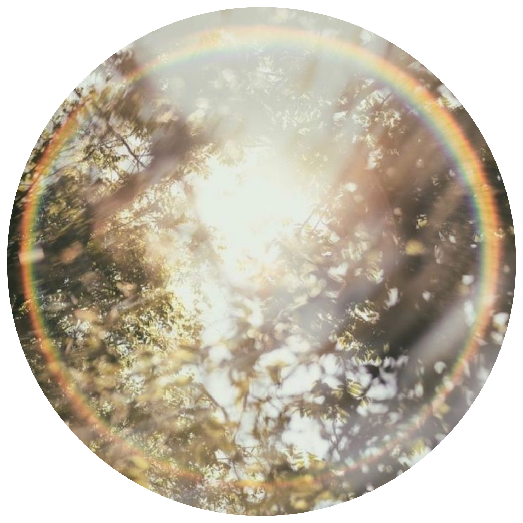Bright sunlight shining through trees with rainbow arcs in the sky.
