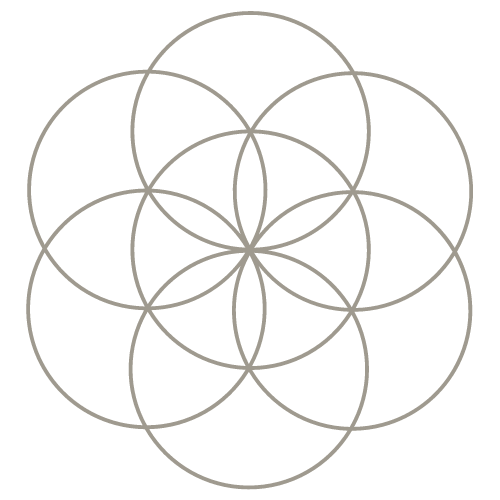 Awakened Embodiment