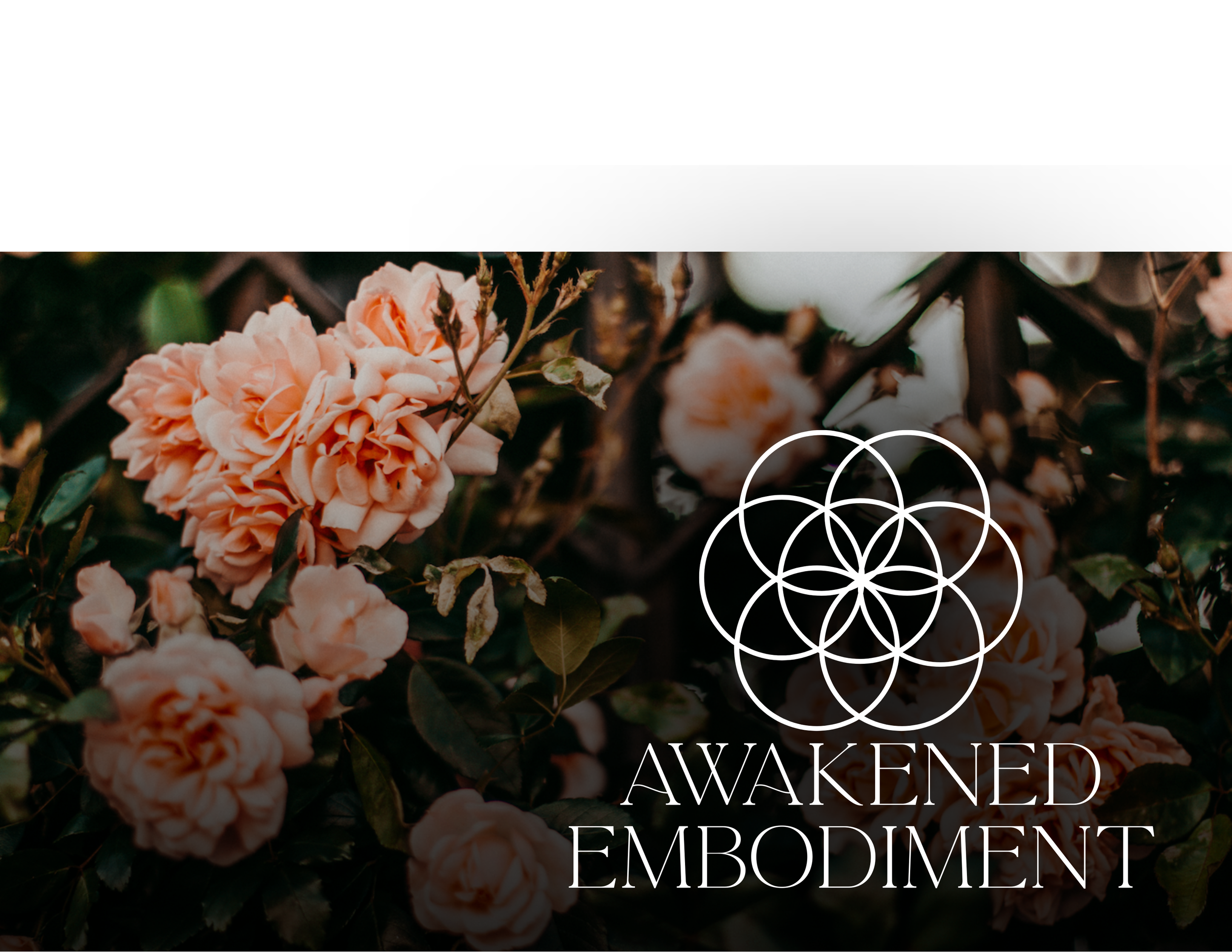Close-up view of peach-colored flowers and green leaves with overlaid text reading 'Evolved Embodiment' and geometric circle design.
