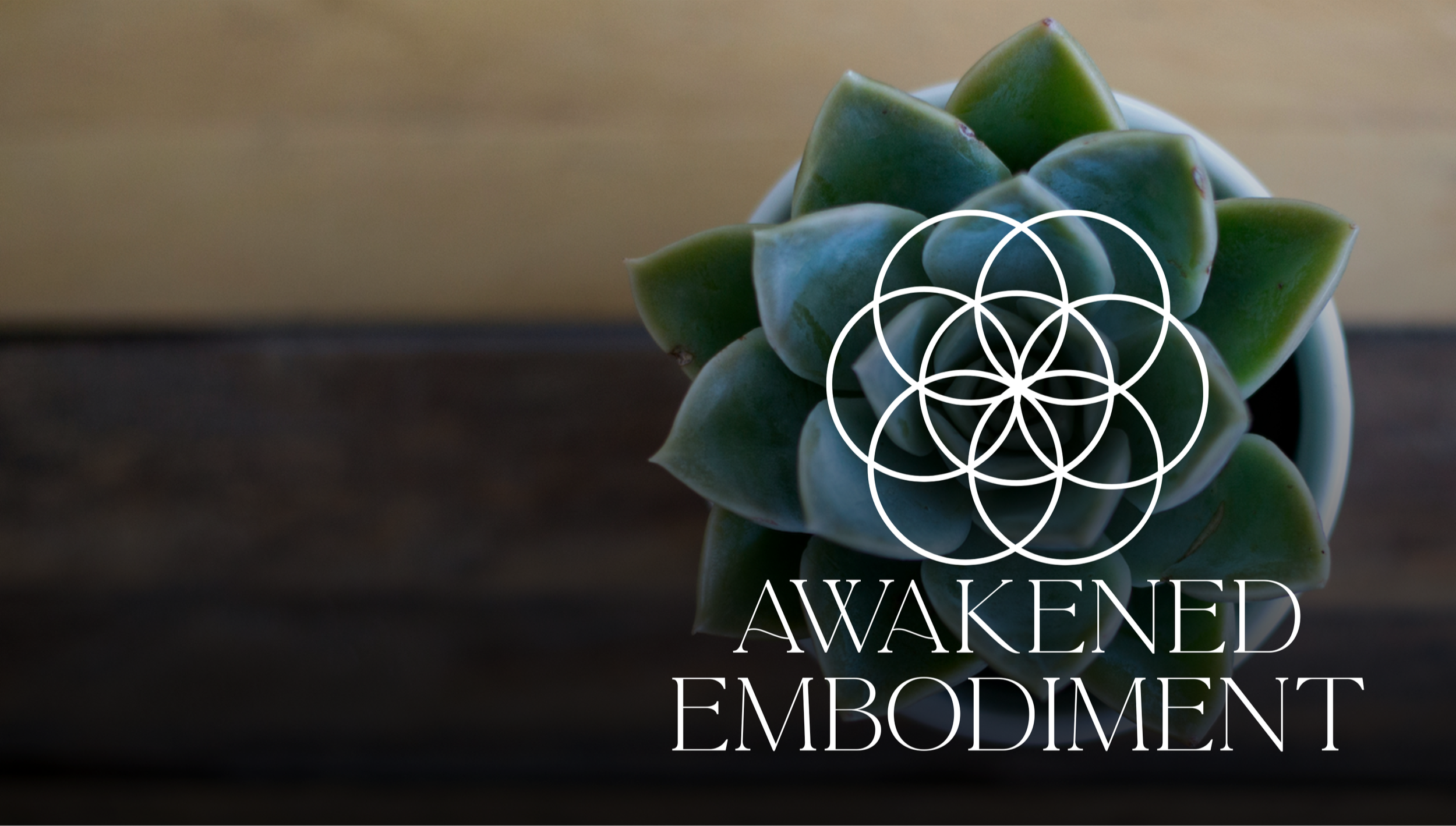 Close-up of a potted succulent plant with overlaid white geometric design and text 'Awaken Embodiment'