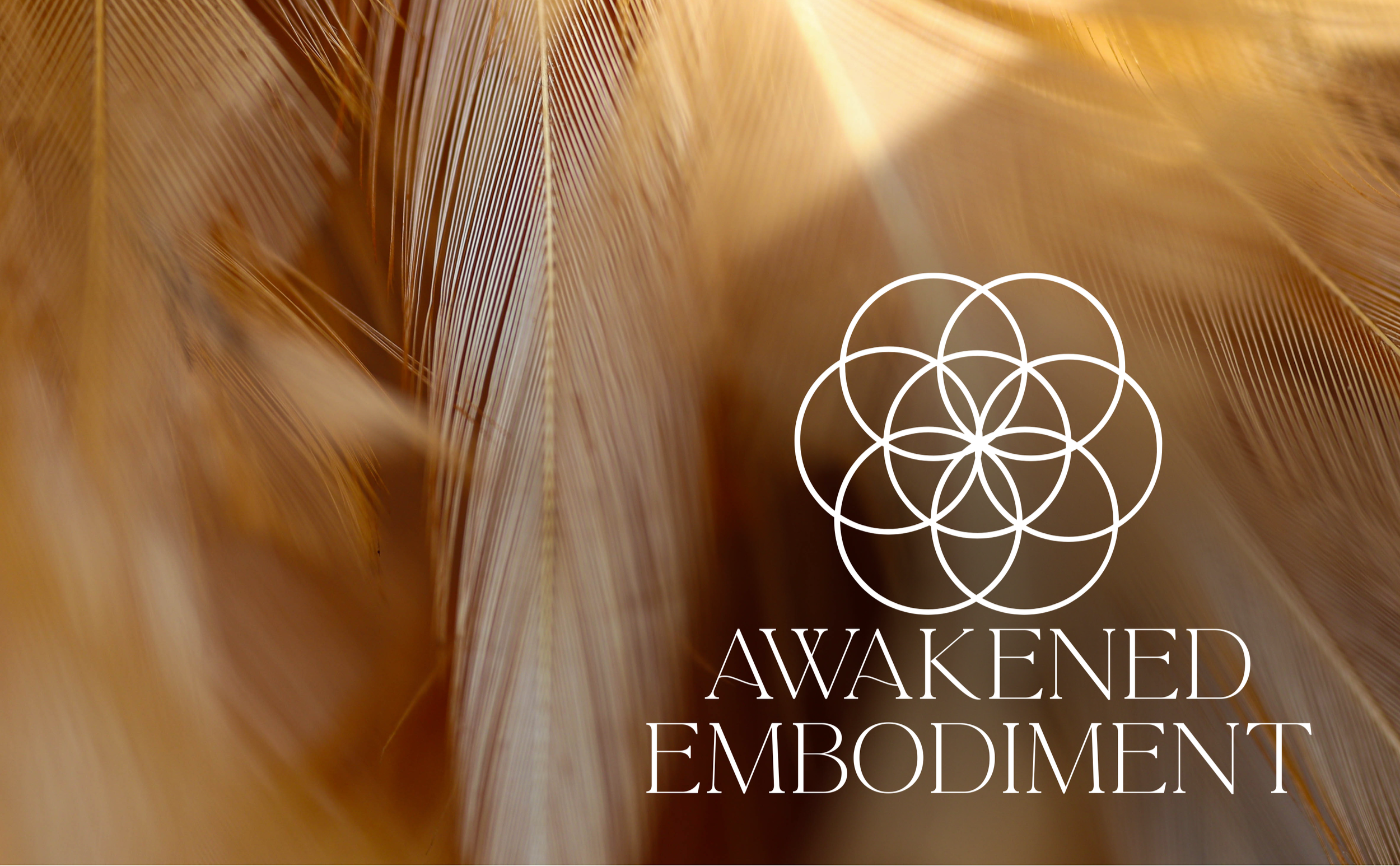 Close-up of bird feathers with the words 'Awaken, Empower, Embodiment' and a geometric flower-like symbol.