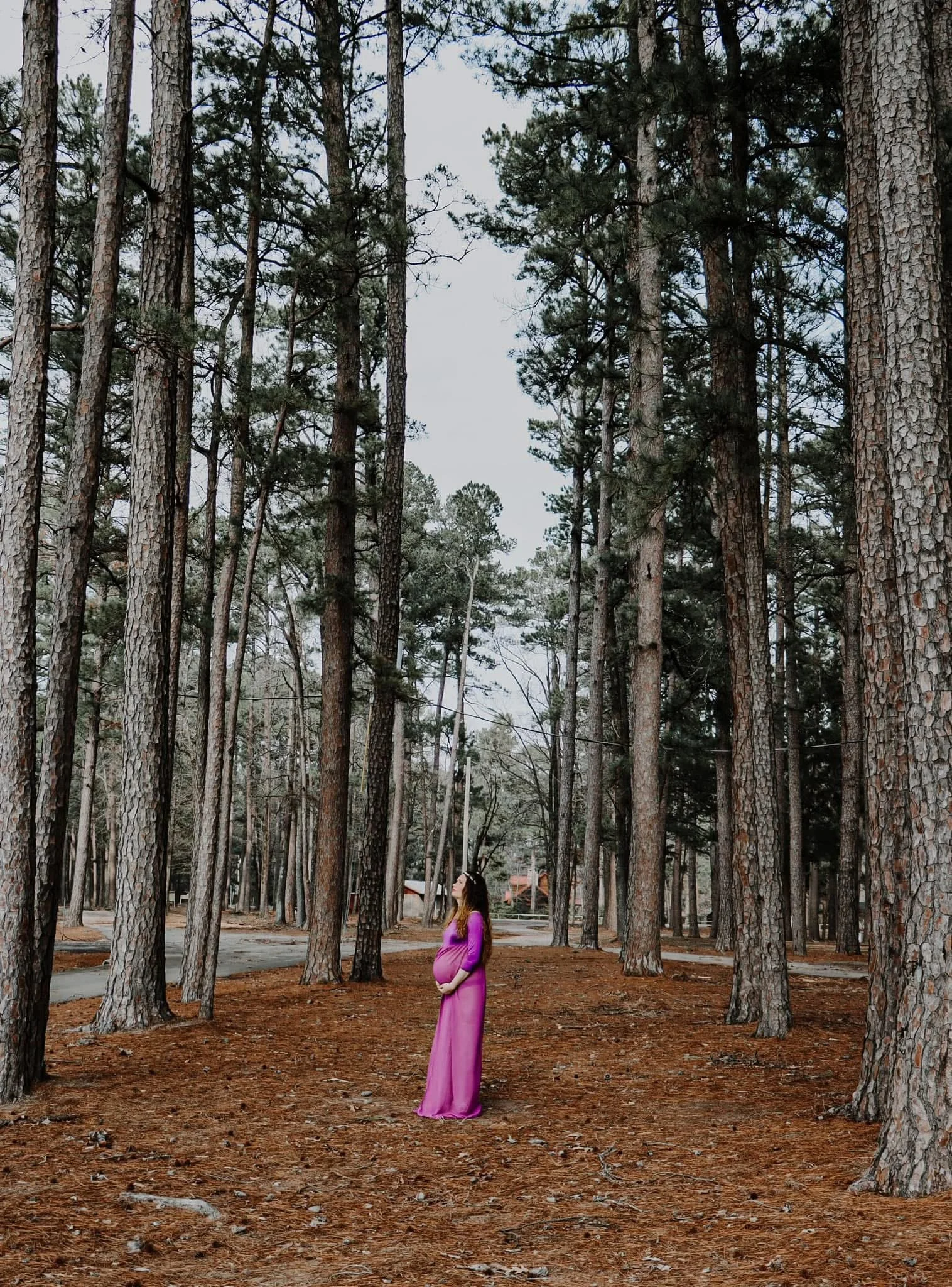 A pregnant woman wearing a pink dress standing in a forest of tall pine trees, looking up.