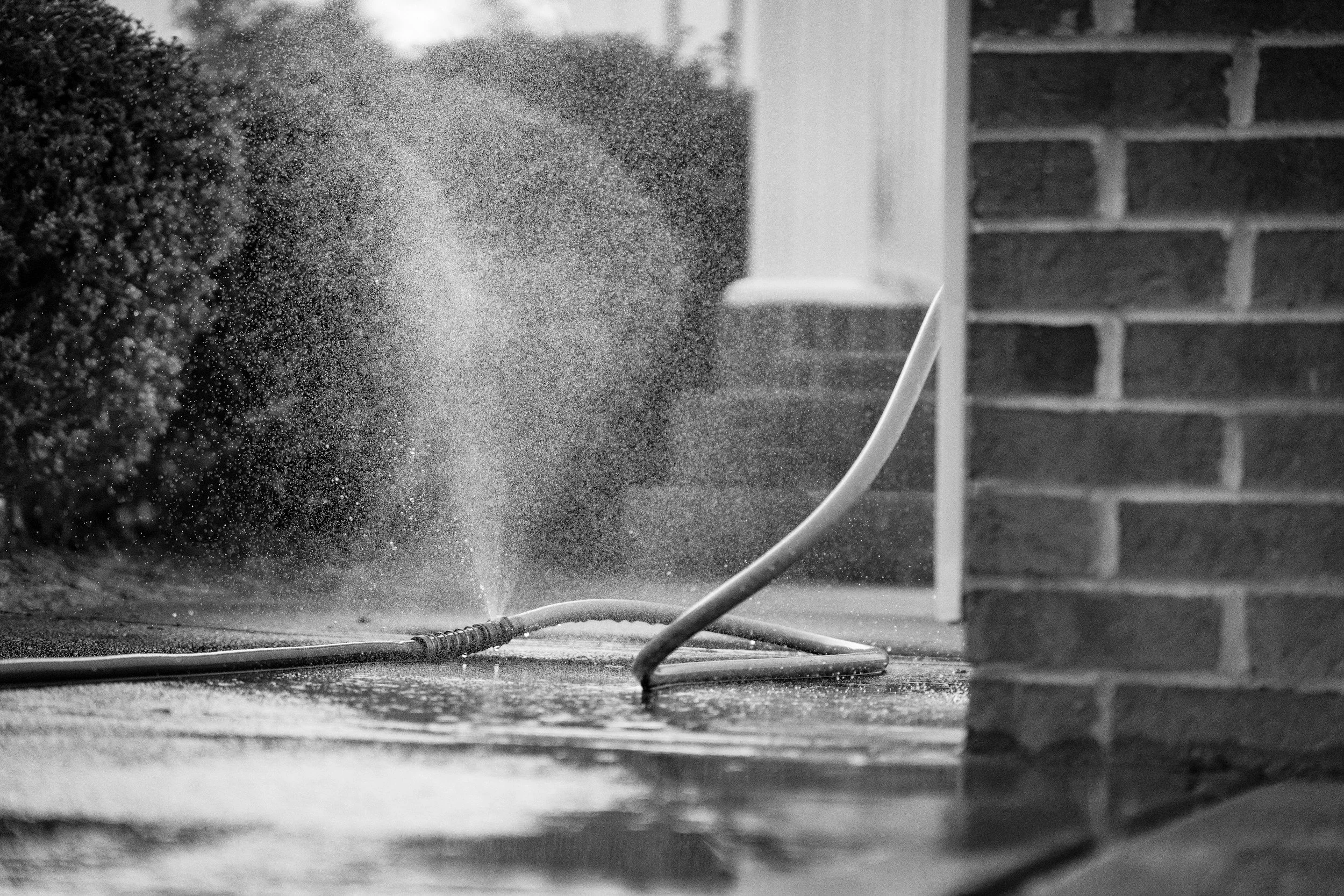 A garden hose spraying water onto a sidewalk near a brick building and bushes.