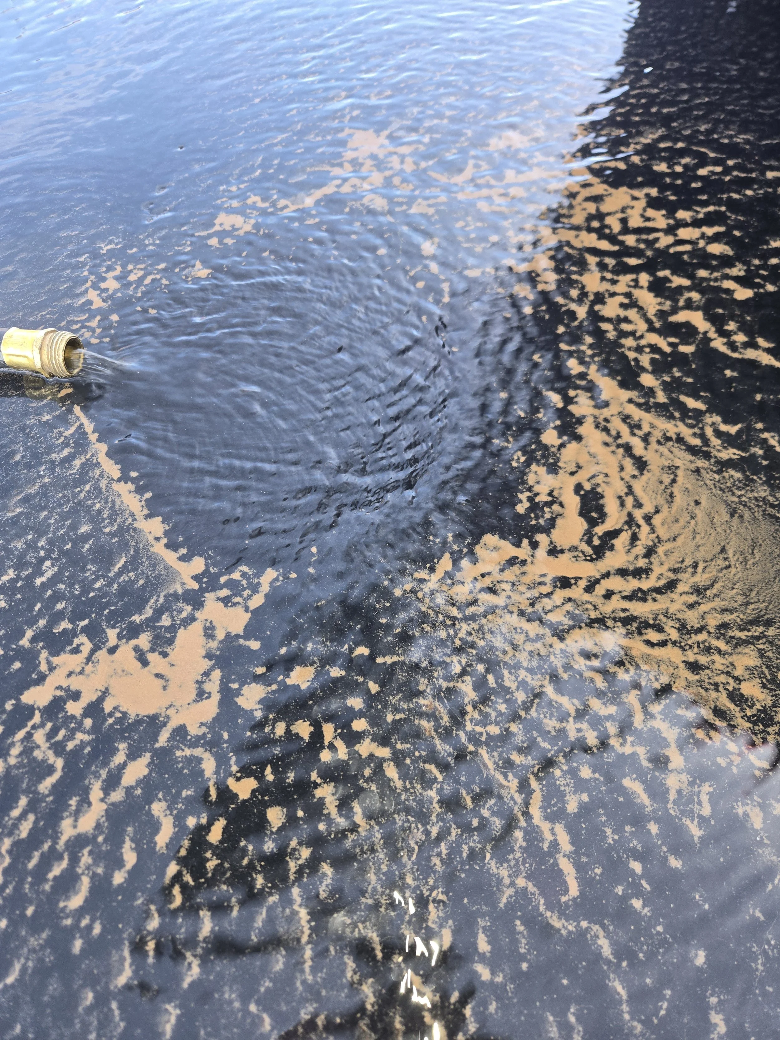 Why Your Water Heater Needs an Annual Flush: A Queen Creek Case Study