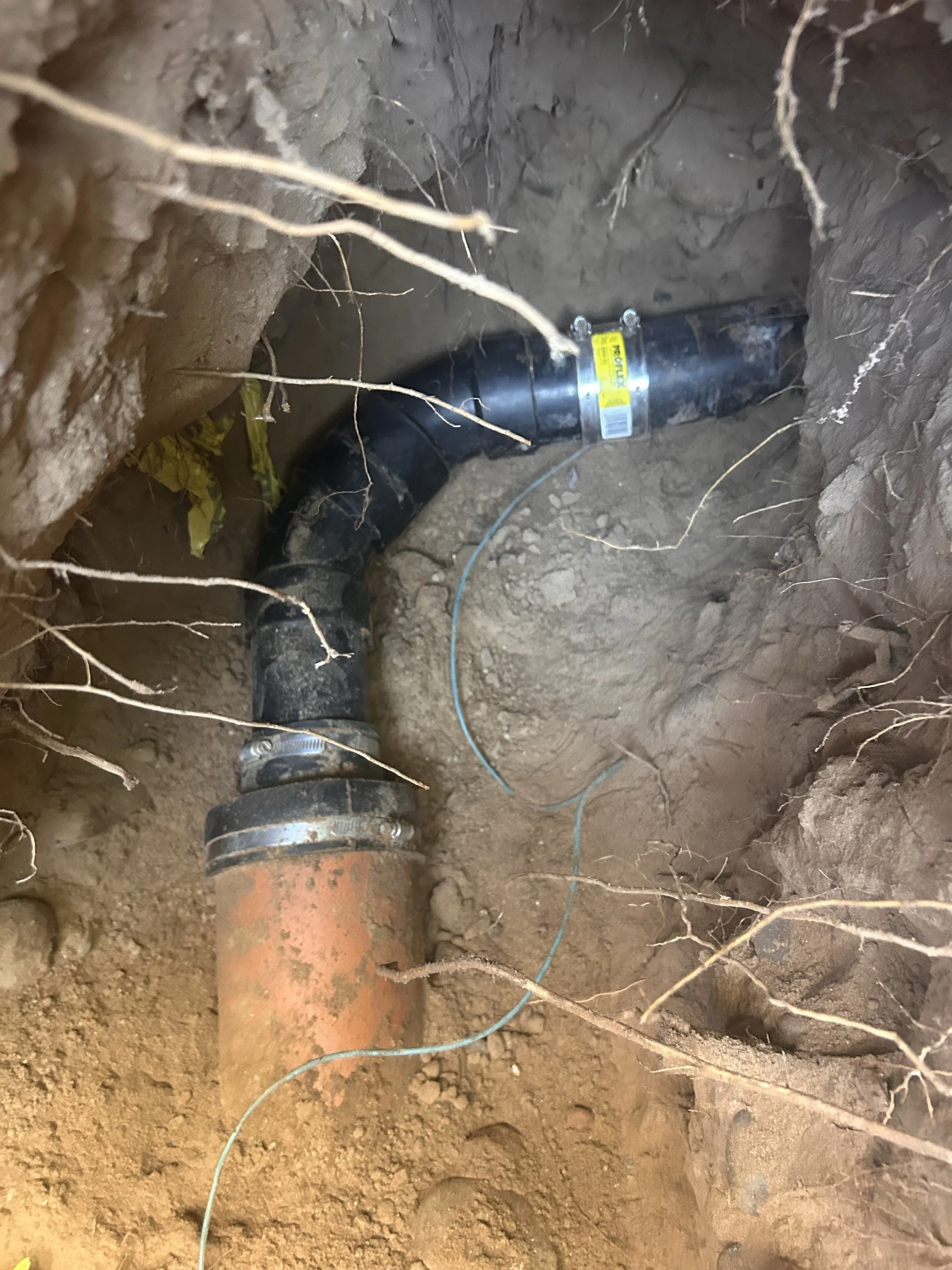 Tree Root Intrusion in Sewer Lines: Mesa, AZ Mainline Repair Guide