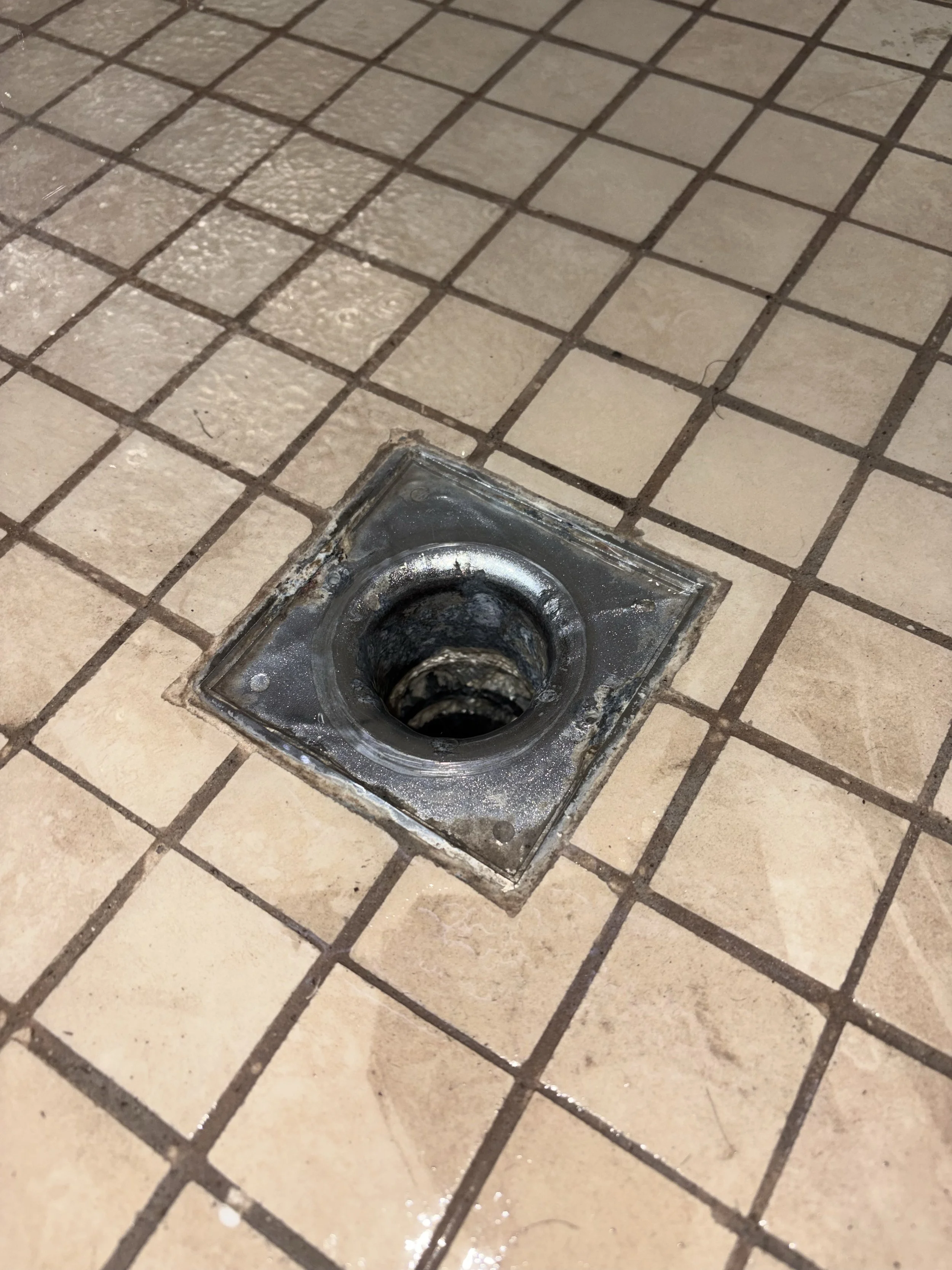 Clogged Shower Drain in Phoenix, AZ | Mountain Vista Plumbing
