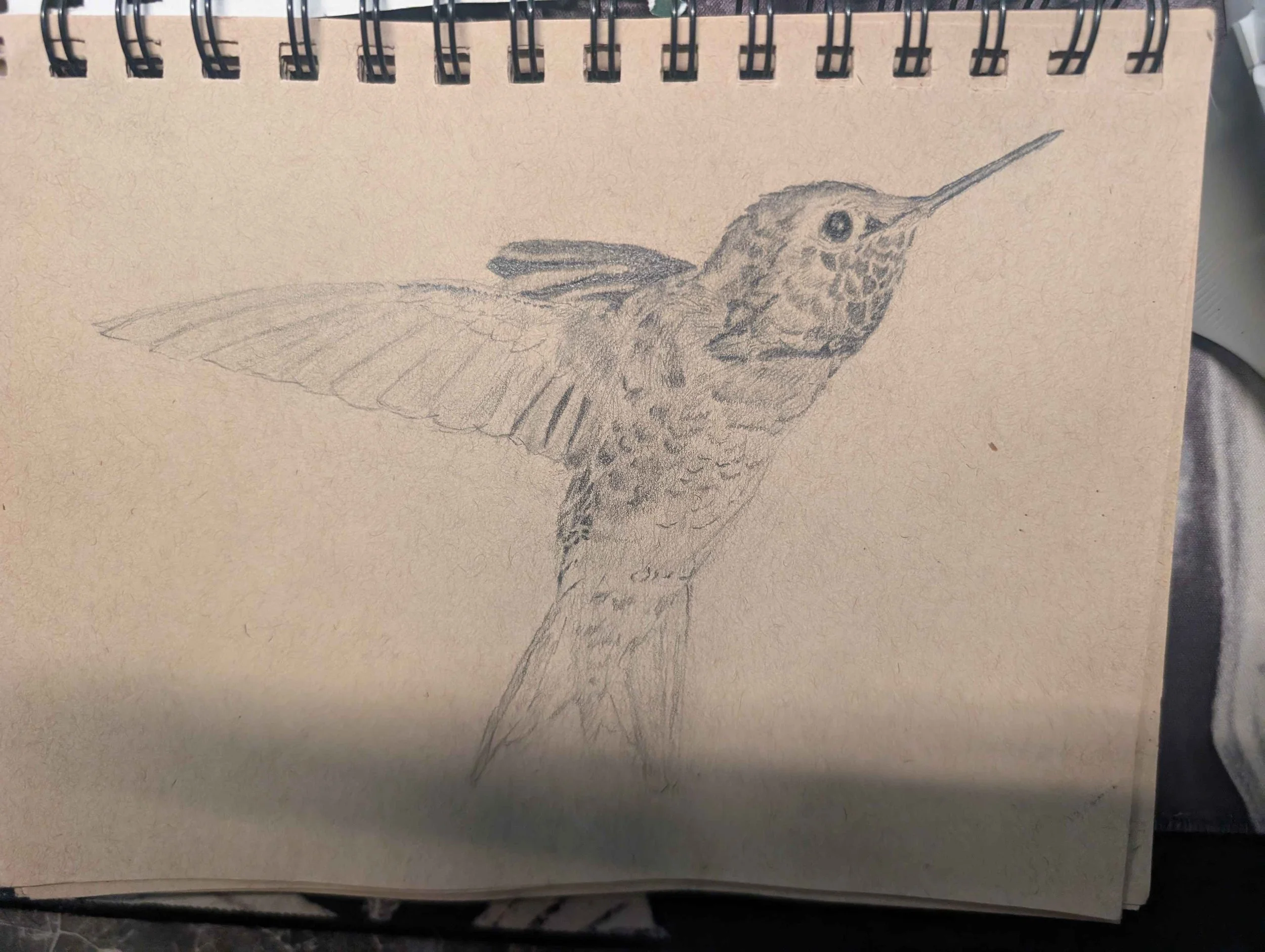 Work in progress Humming Bird
