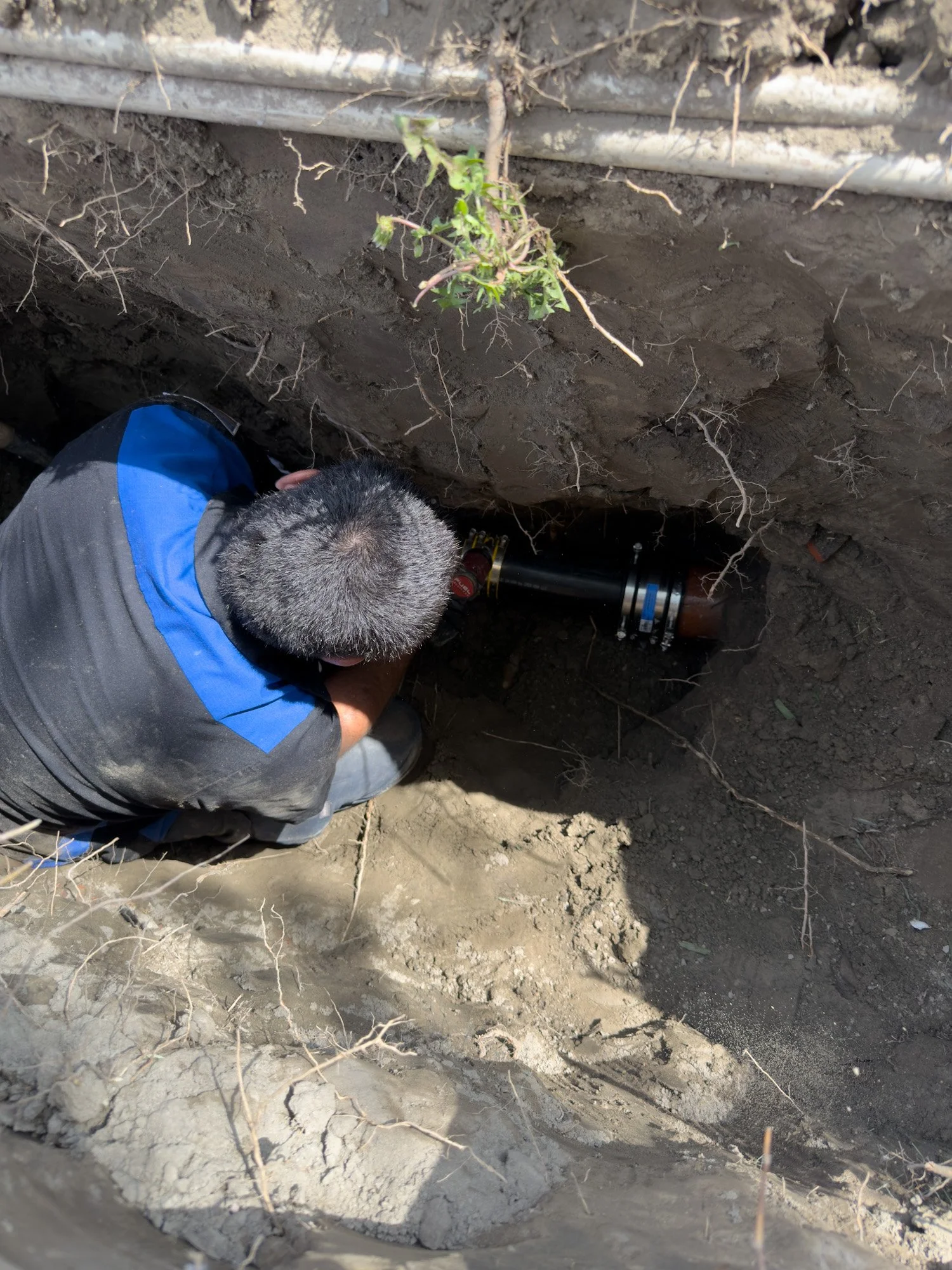 Sewer line repair by Premier Flow Plumbing in La Cañada Flintridge, CA.