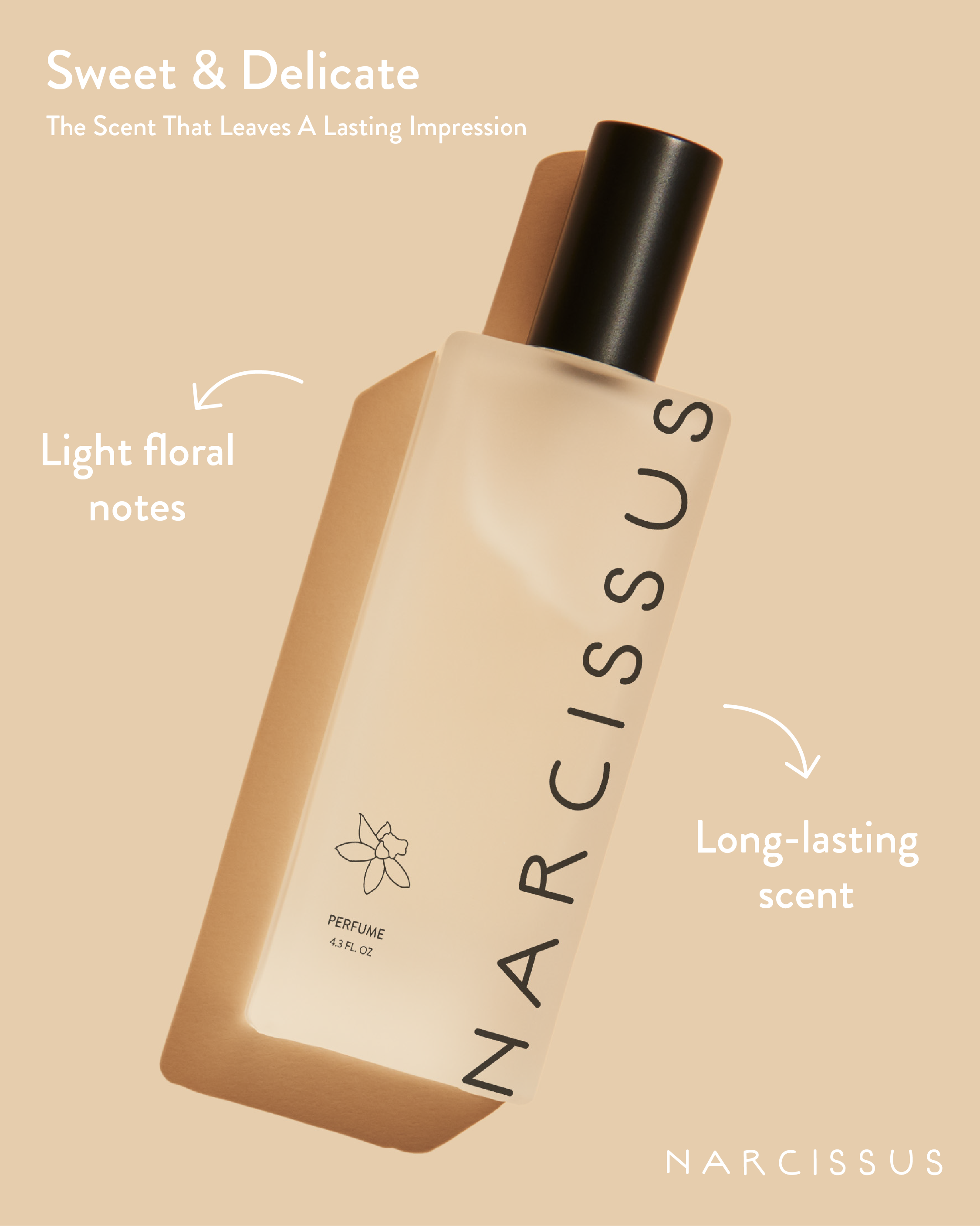 Narcissus Ads-01.png