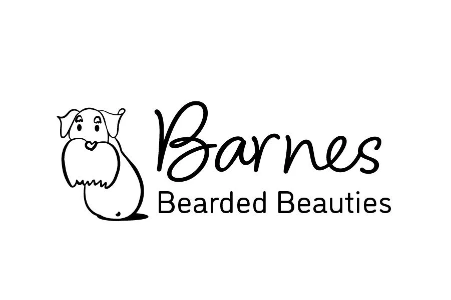 Barnes Bearded Beauties [Recovered]_Horizontal Logo.jpg