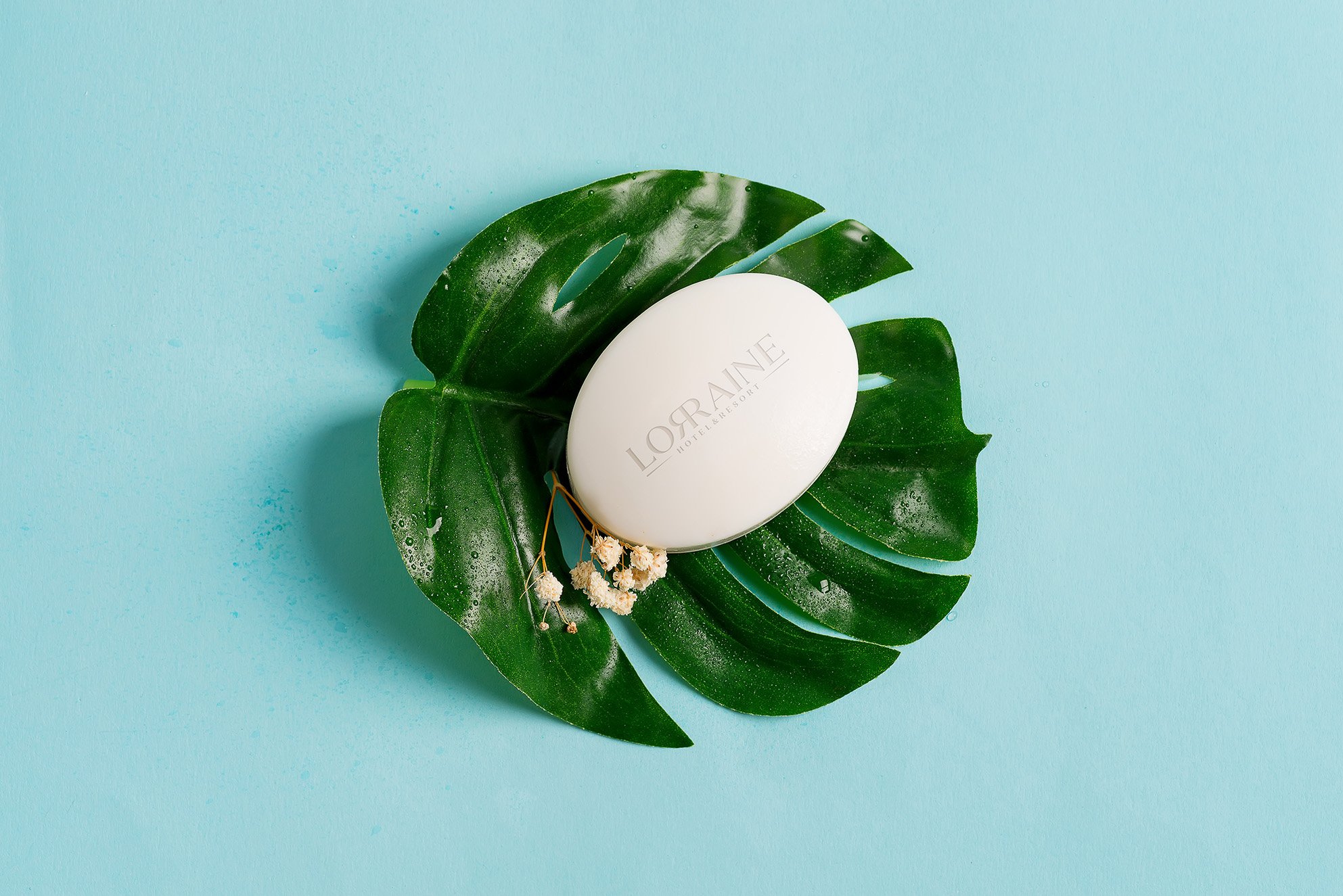 Bar of Soap - smaller.jpg