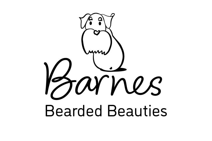 Barnes Bearded Beauties [Recovered]_Vertical Logo.jpg