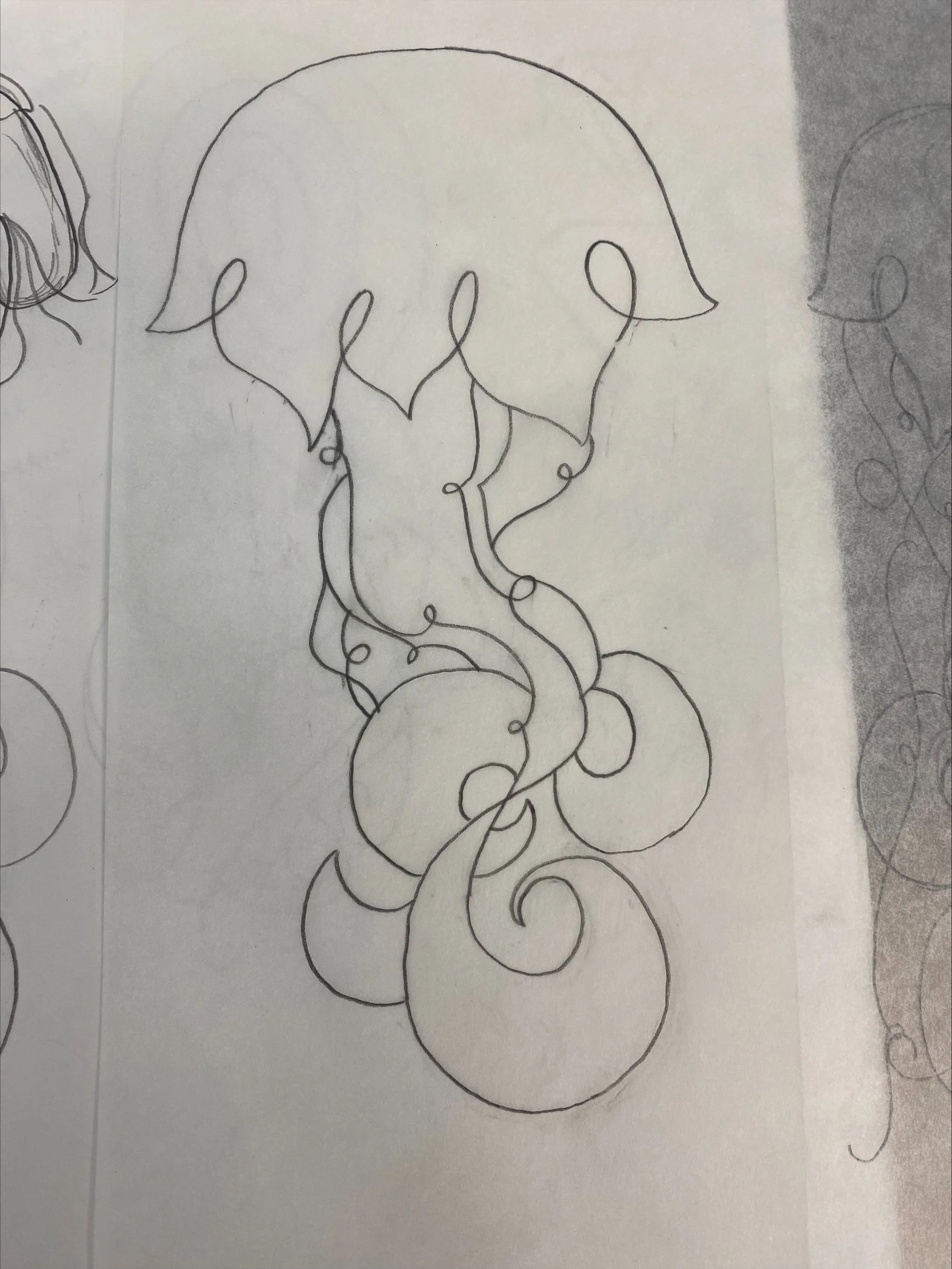 Jelly Sketch 2.jpeg