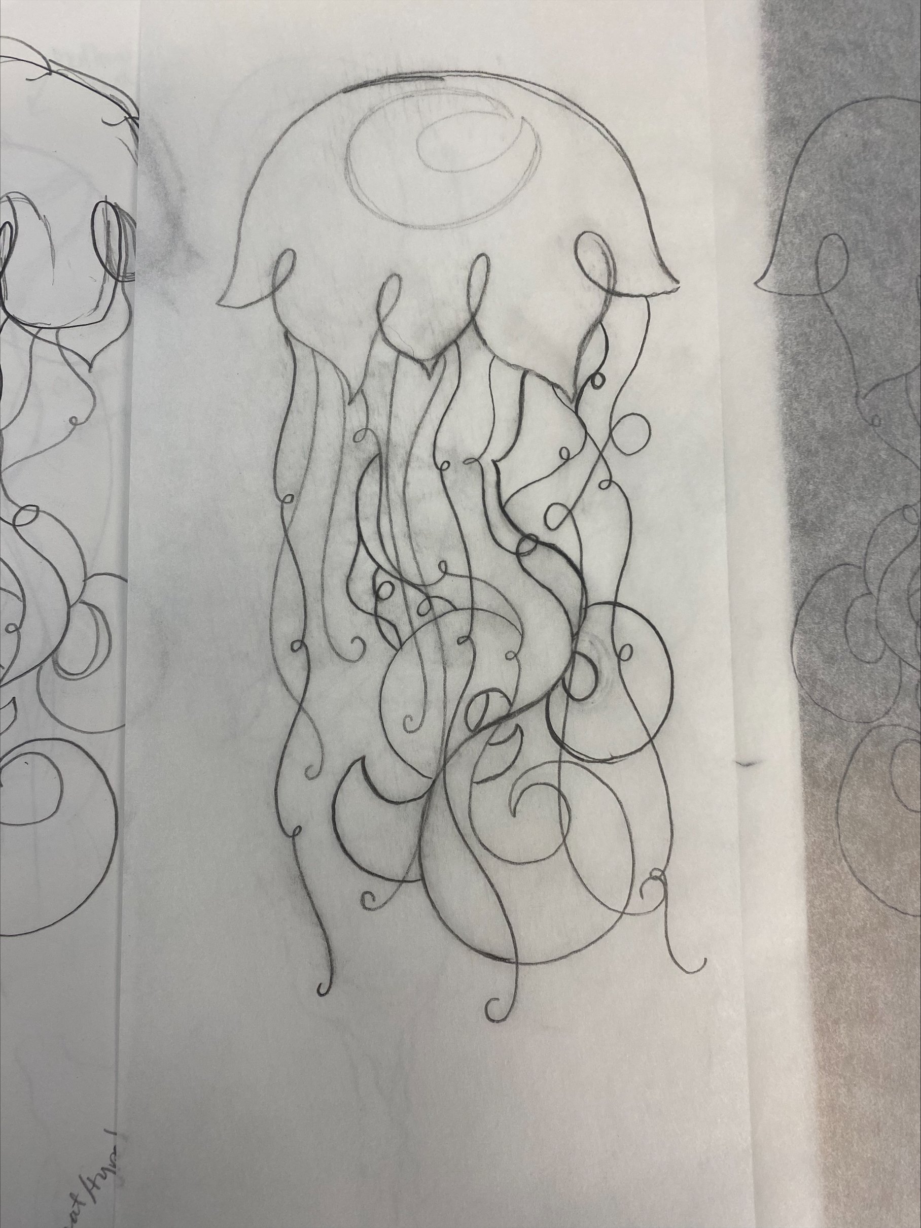 Jelly Sketch 1.jpeg
