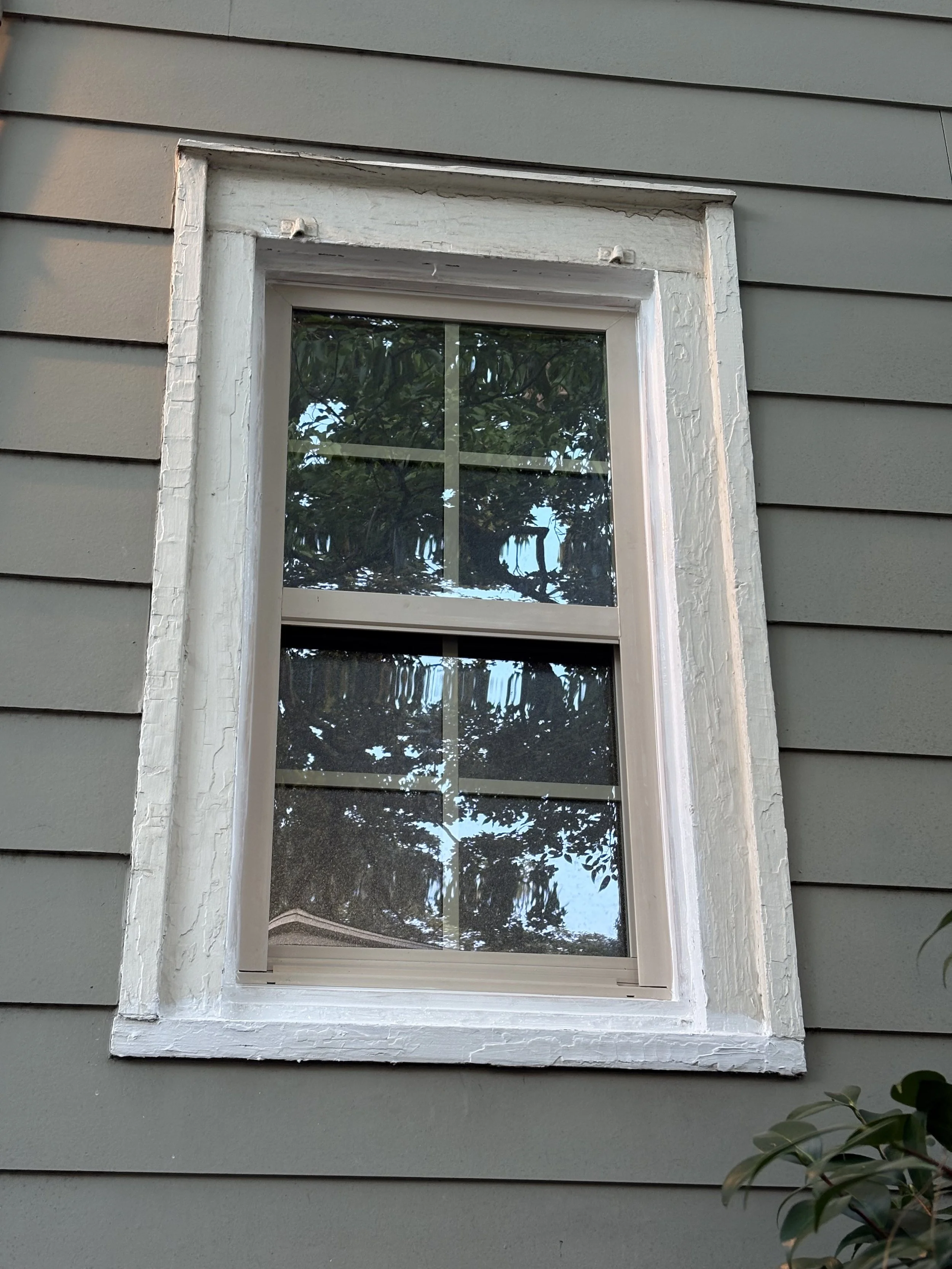 windows3.jpg