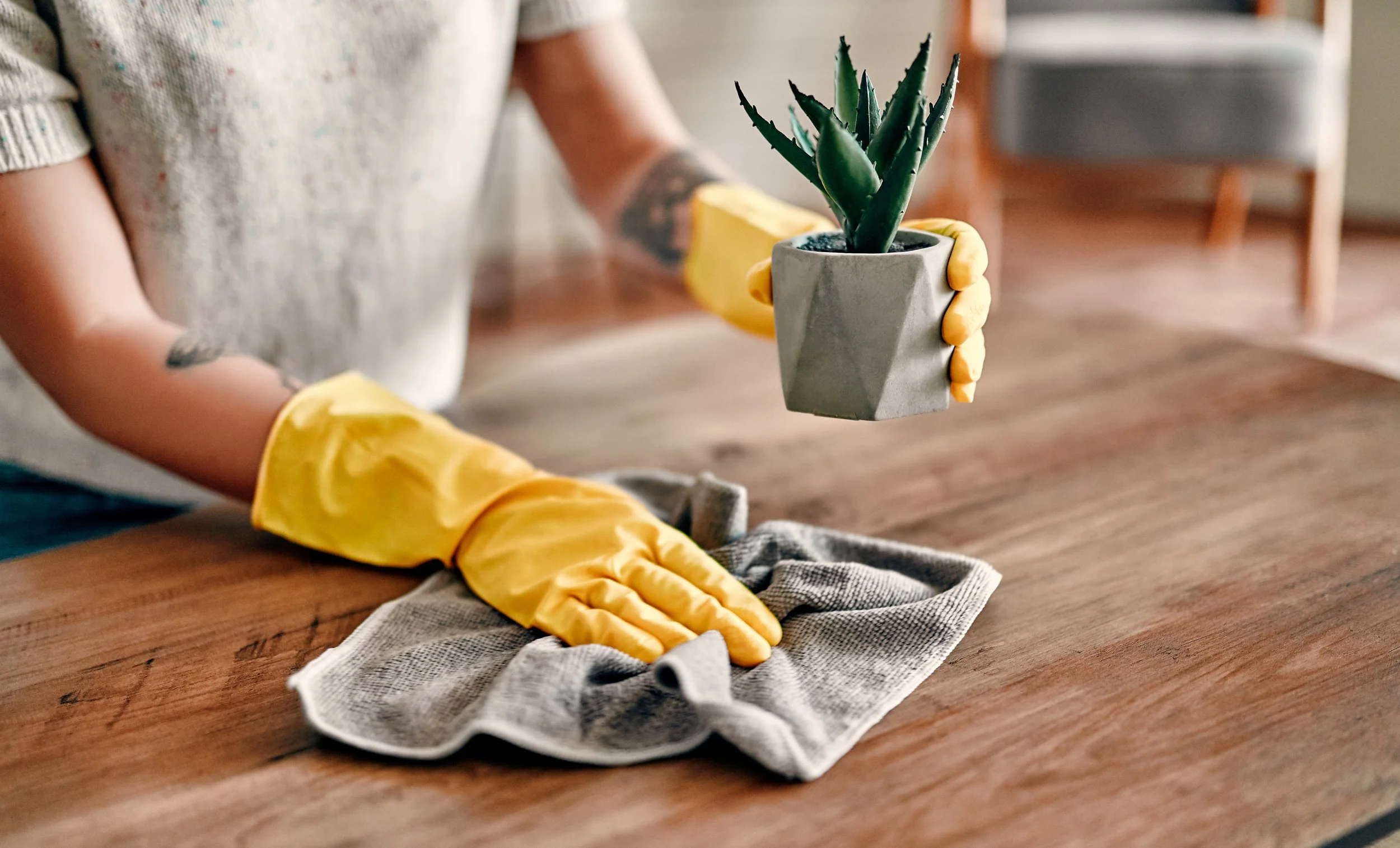 Basic Residential Cleaning