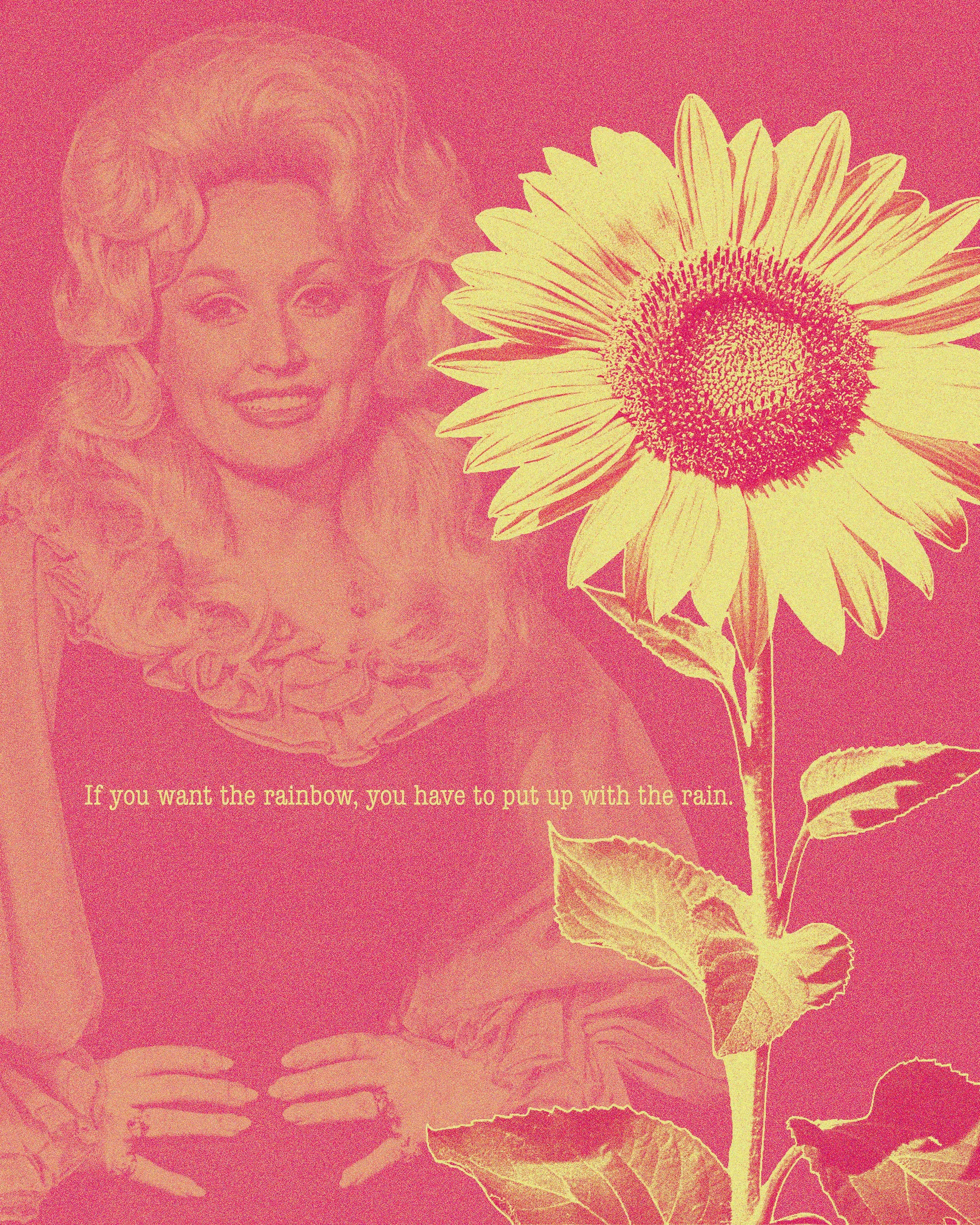 DOLLY