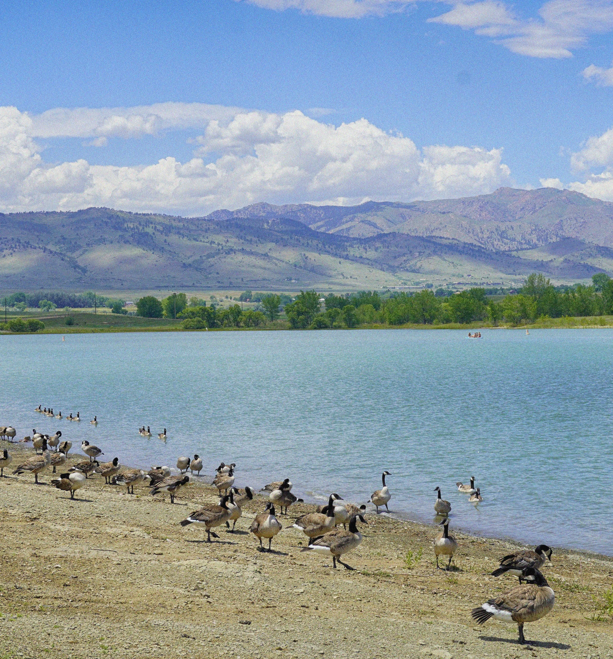 COLORADO