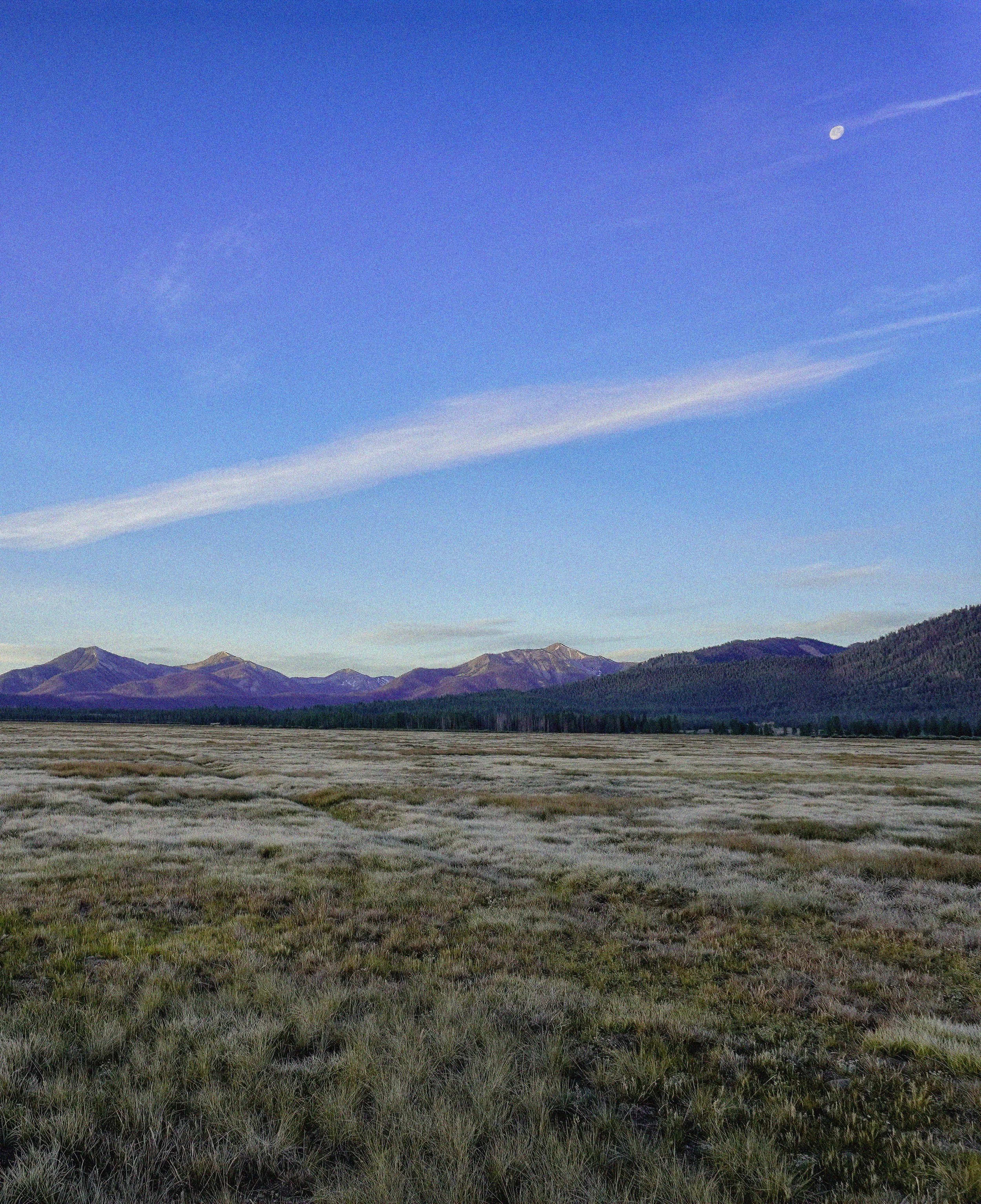 IDAHO