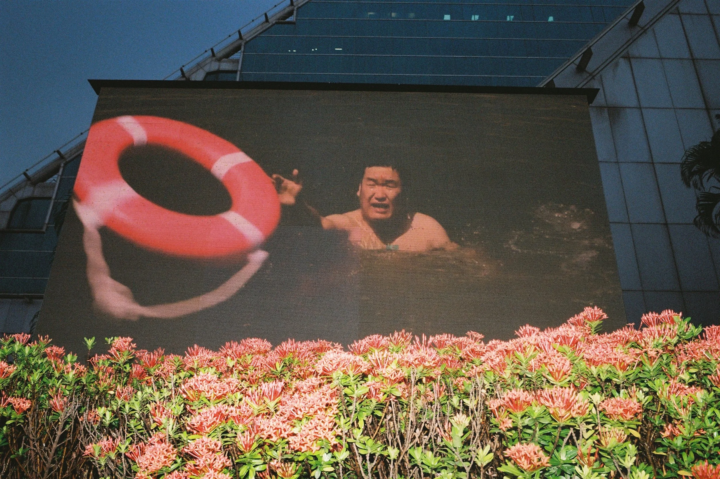 negative-0- (13).JPG
