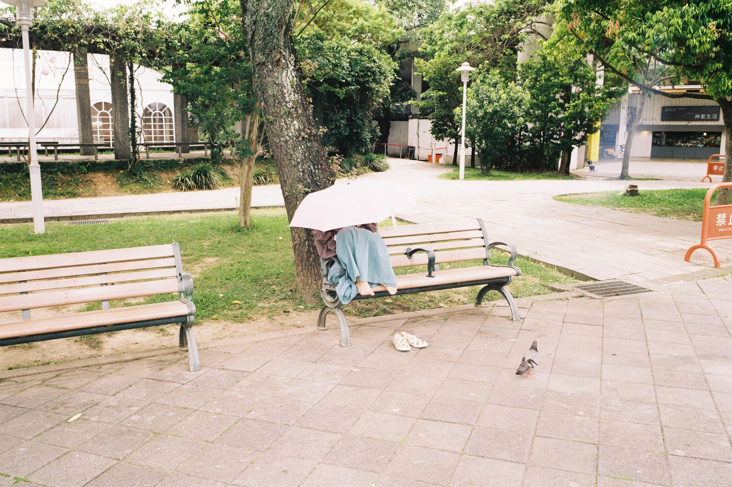 negative-0- (22).JPG