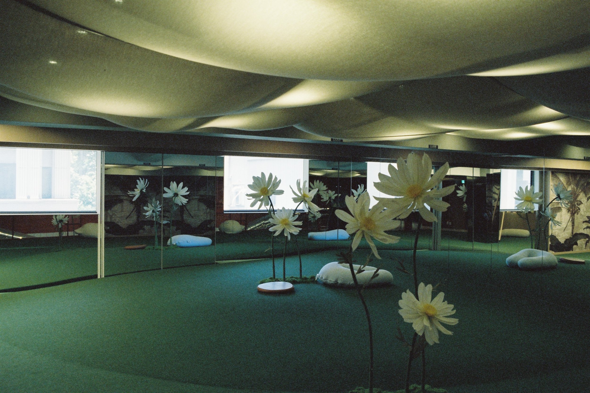 negative-0-11.JPG