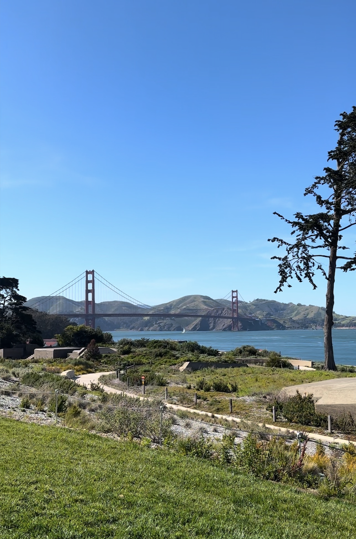View of the Golden Gate Bridge over the water with hills in the background, framed by trees and a park in the foreground, under a clear blue sky.