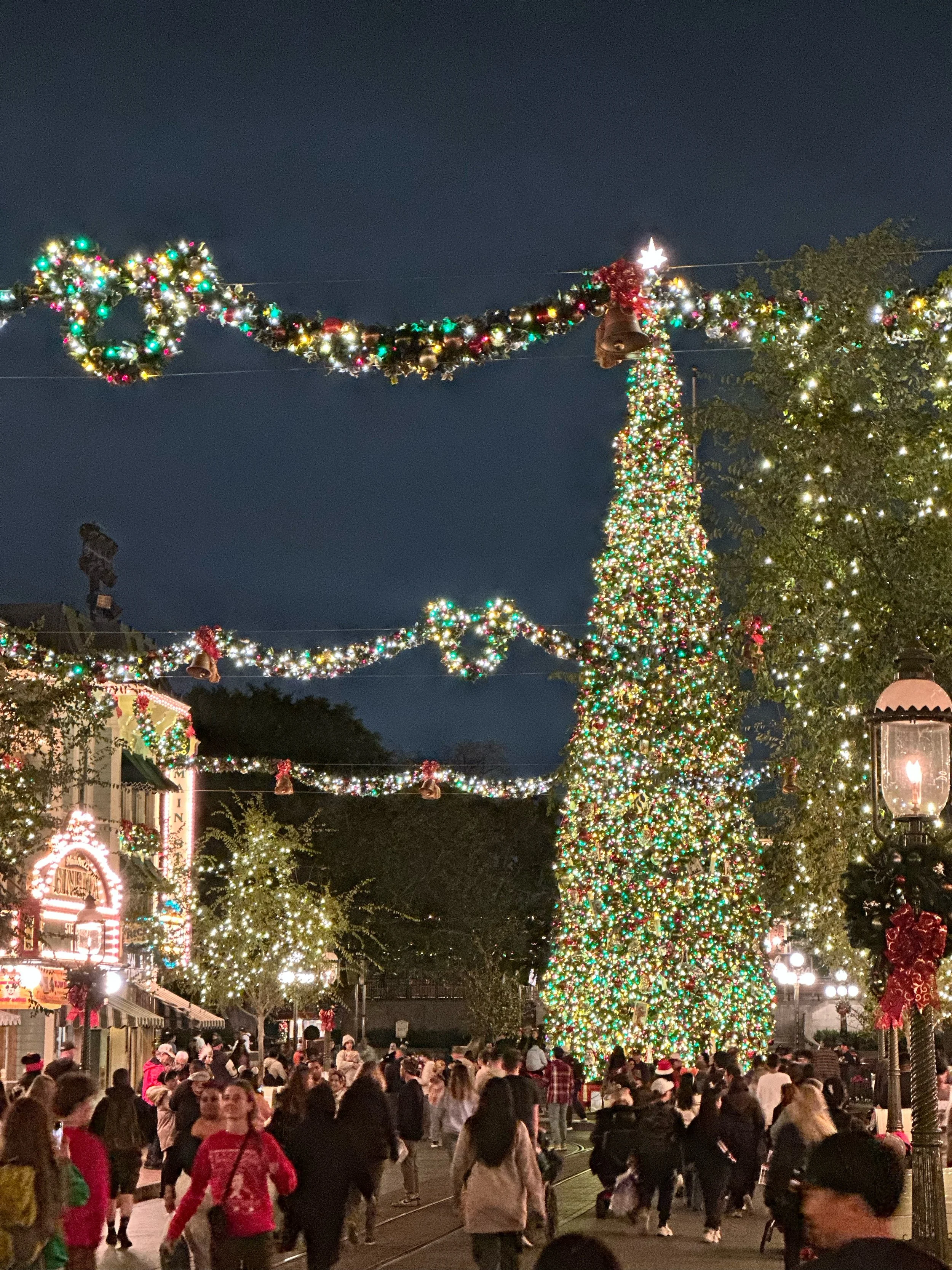 The Holidays at Disneyland