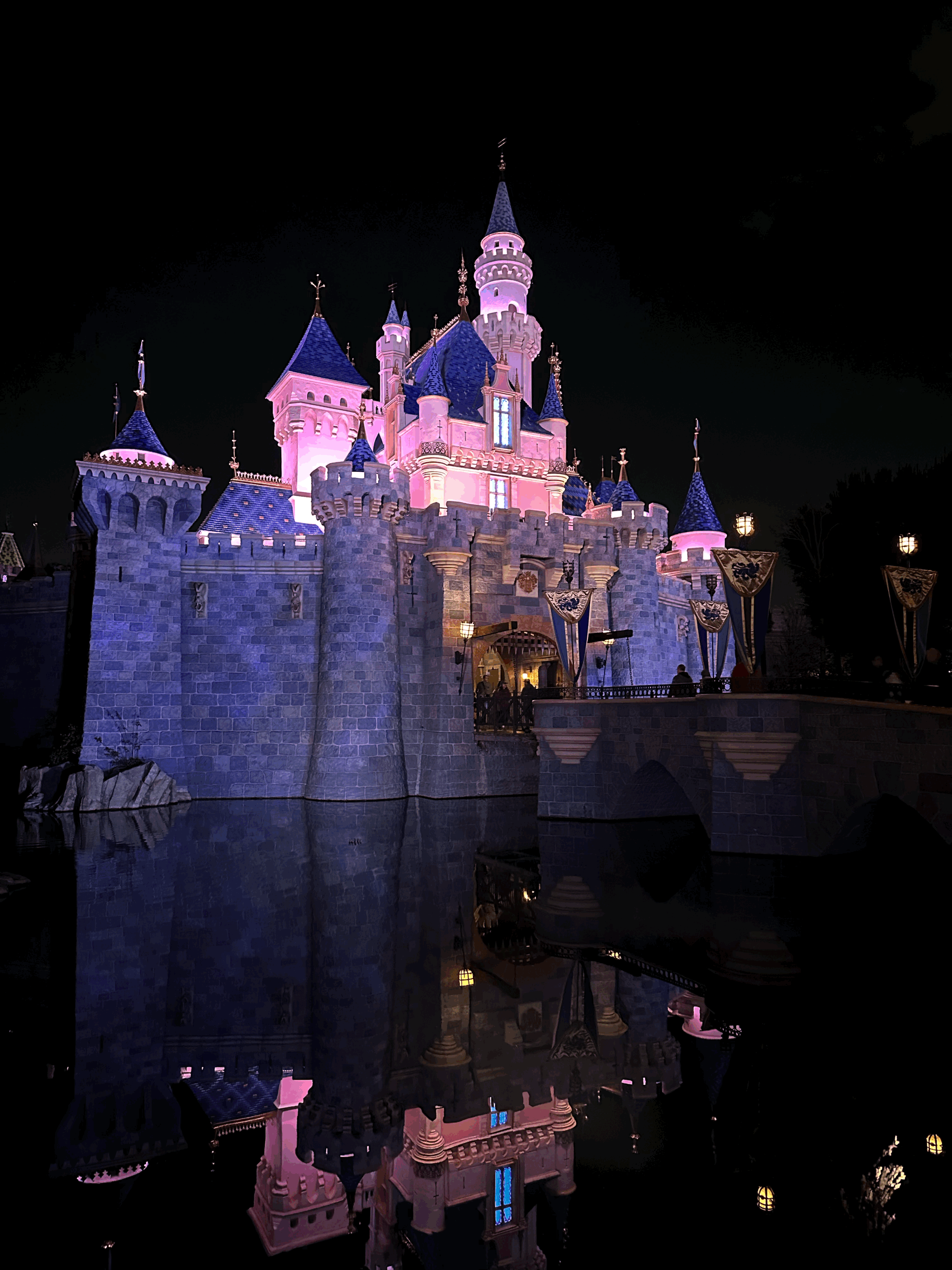 All Things Disney - Sensory Edition
