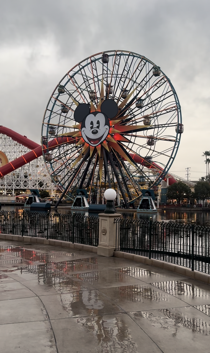 pixar-pal-a-round-on-a-cloudy-and-rainy-day-at-disneyland-california-adventure