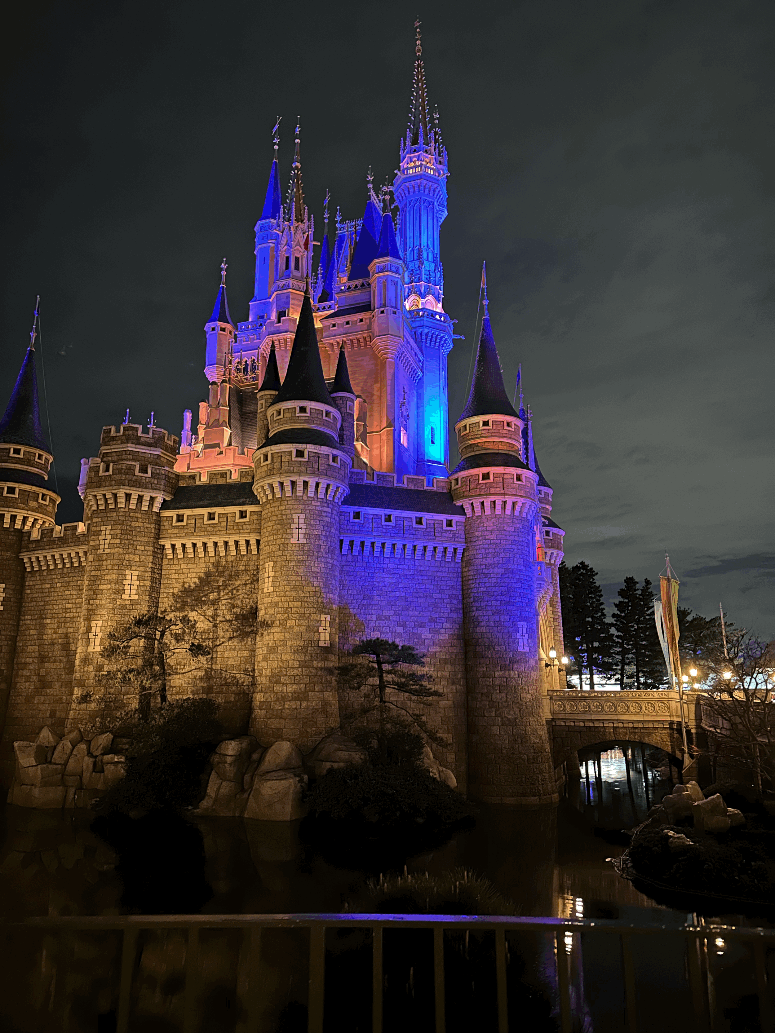 We went to Tokyo Disney!