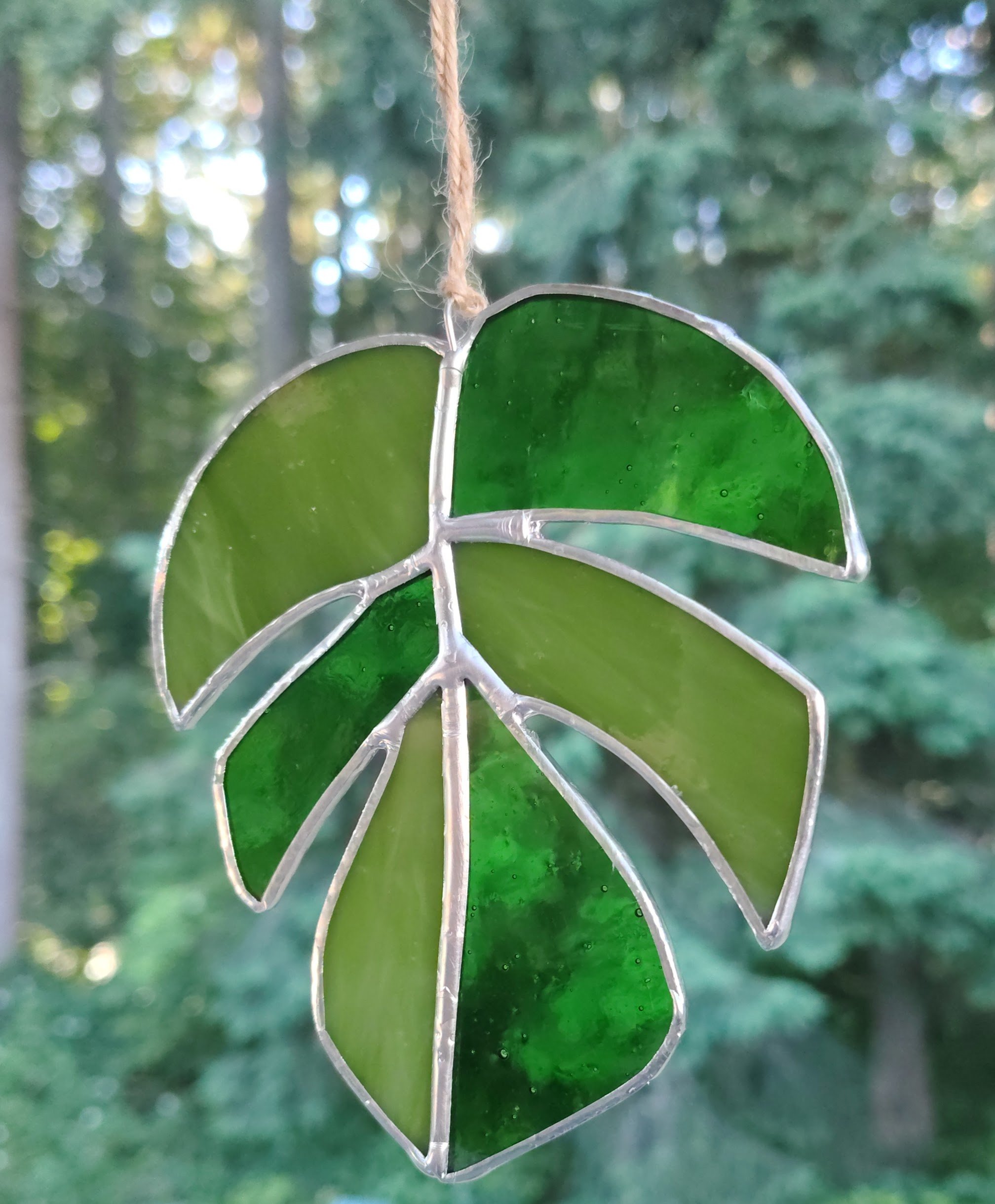 Monstera Workshop @ The Wine Alley
