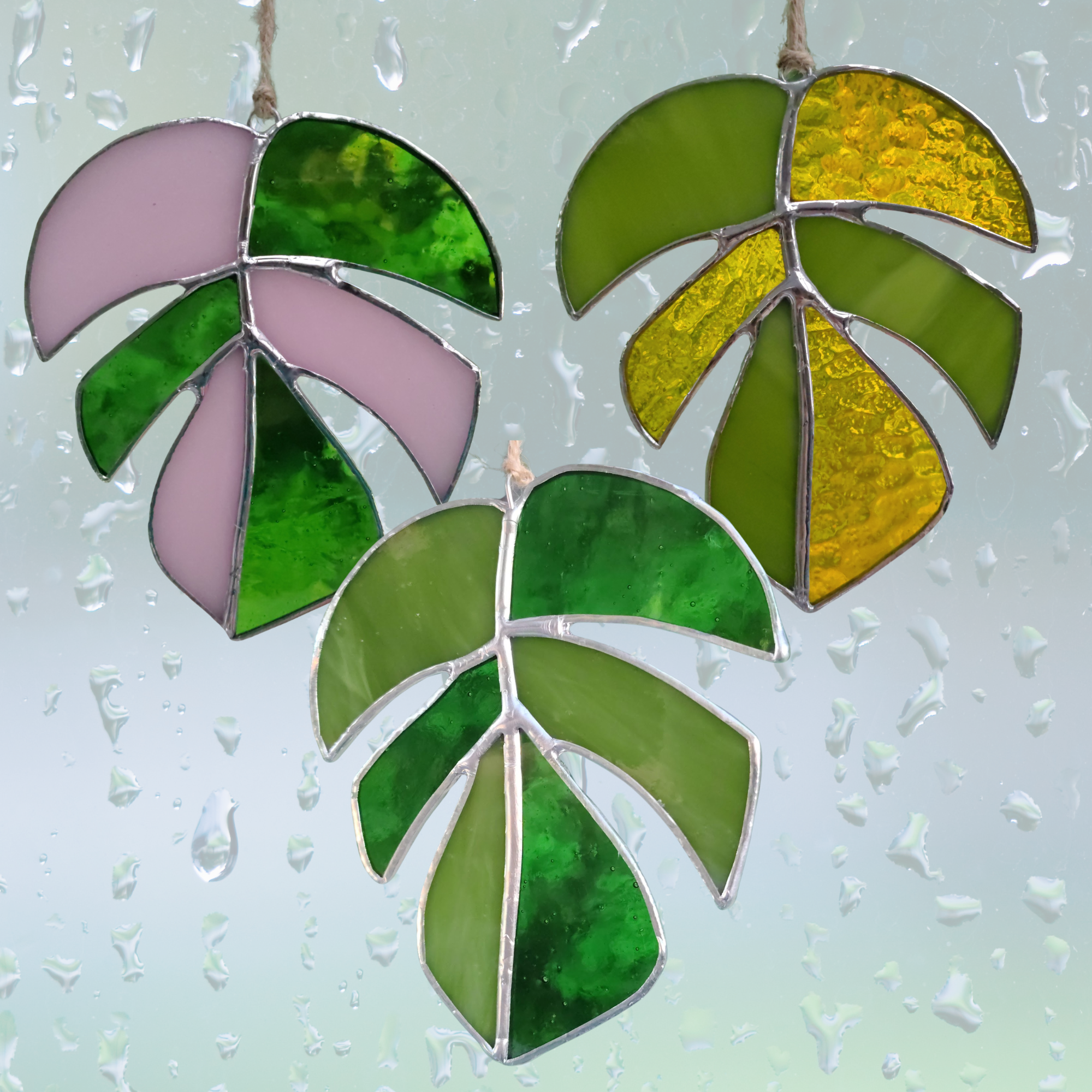 Monstera 3 Colors.png