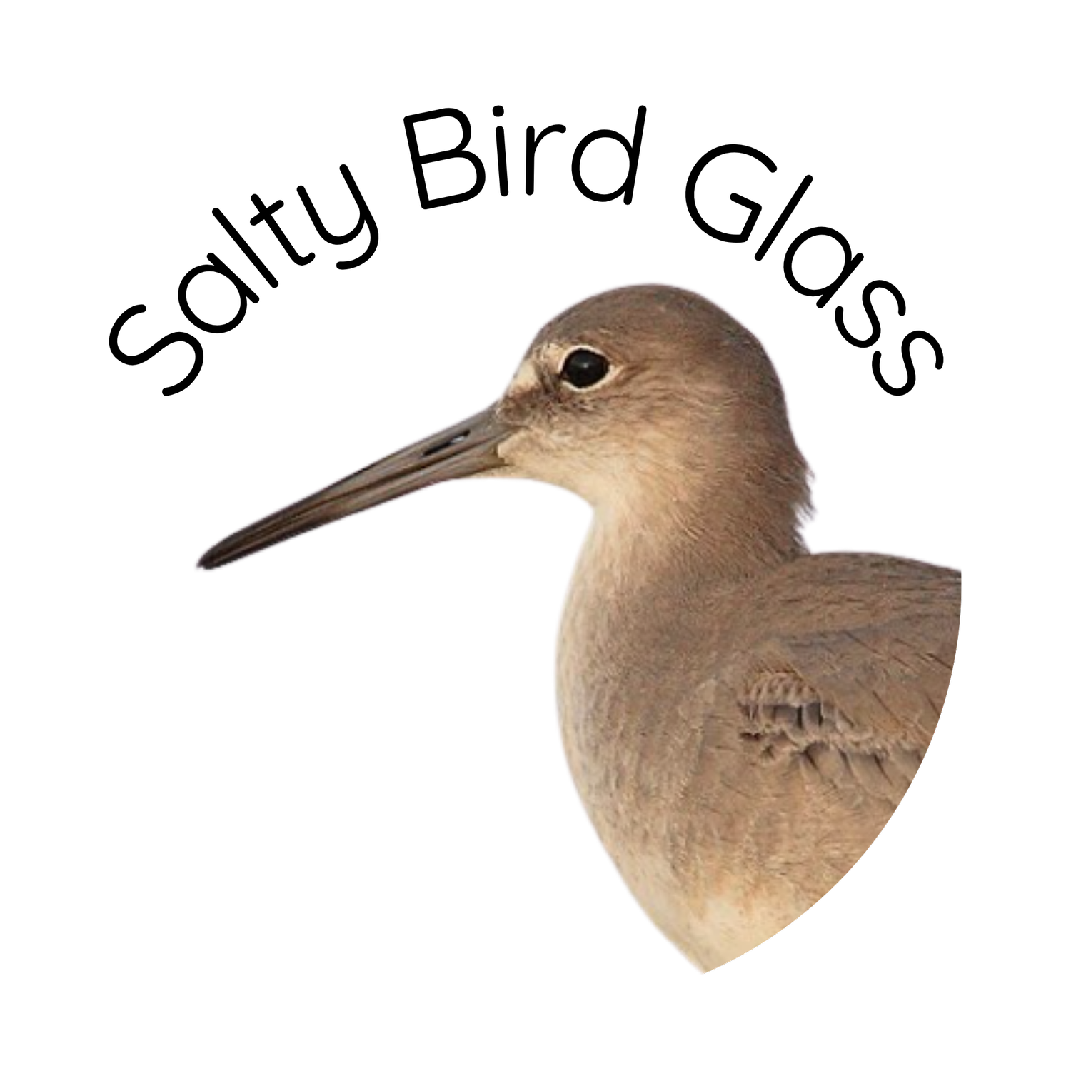 Salty Bird Glass