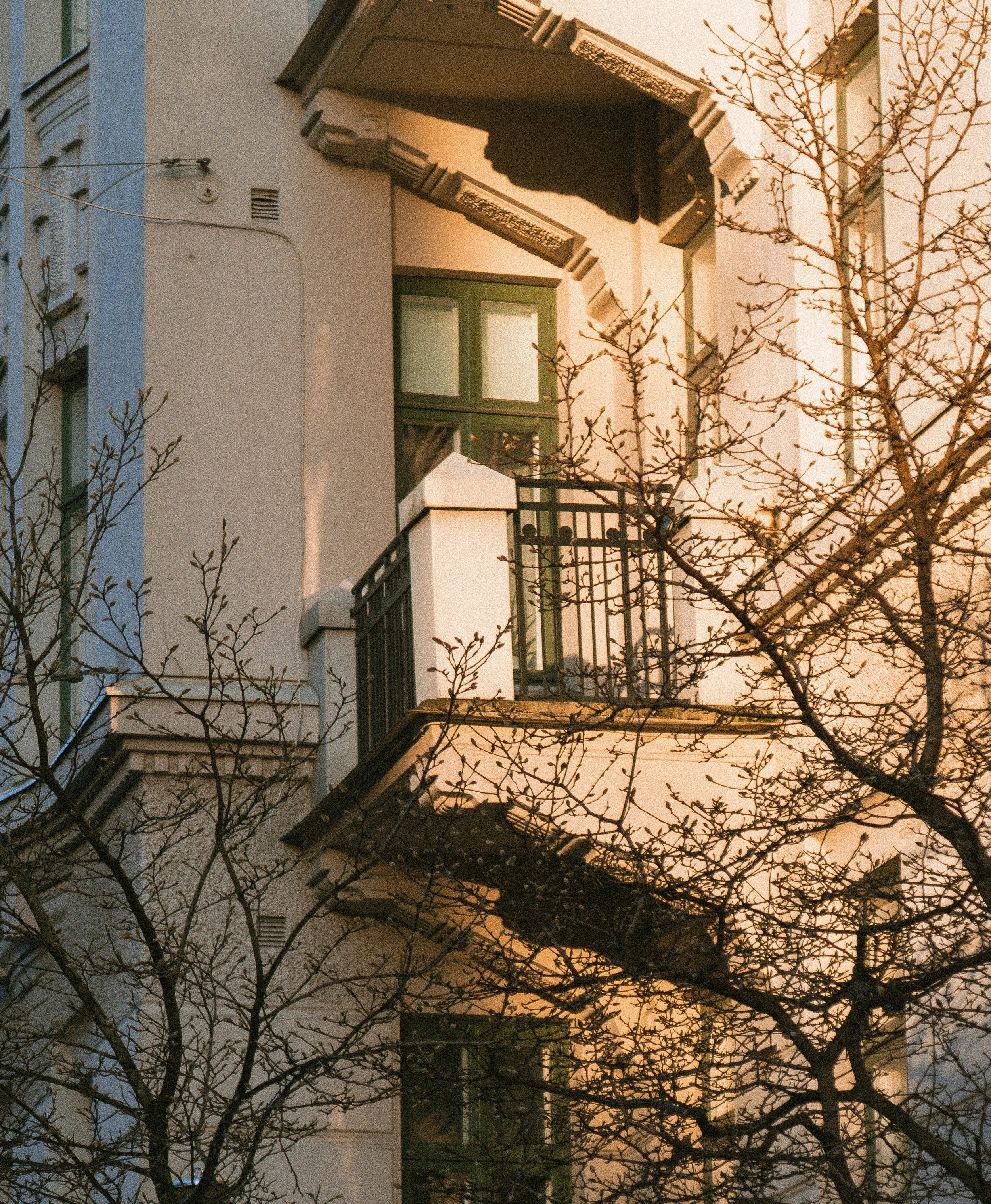 A building with windows and a balcony, partially obscured by leafless tree branches, during sunset or sunrise with warm light.